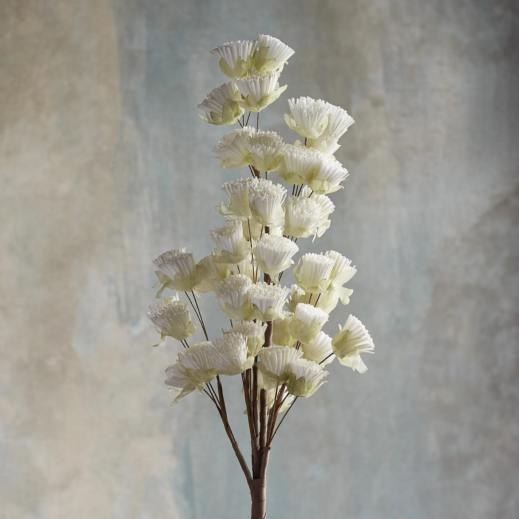 Bountiful Botanicals