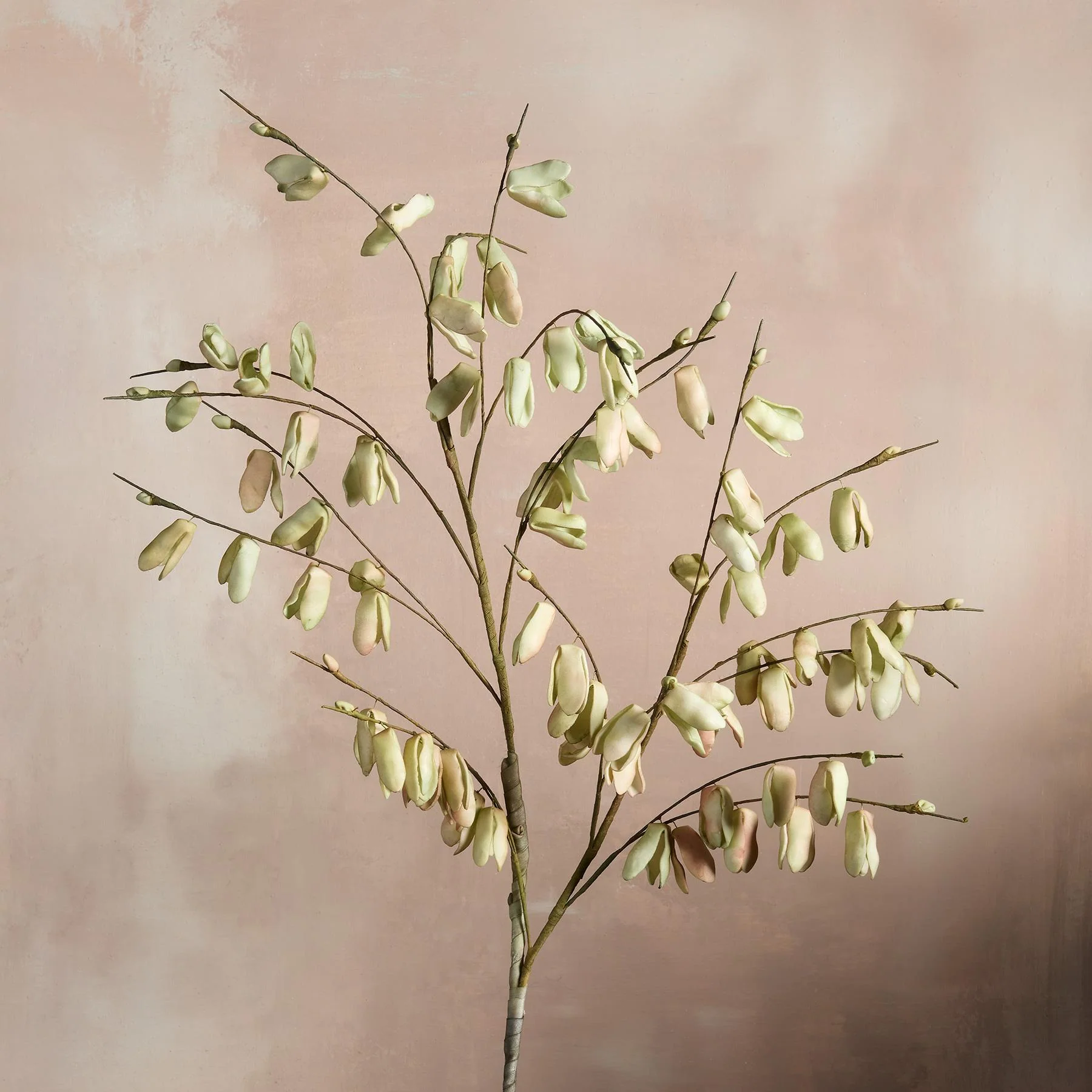 Bountiful Botanicals