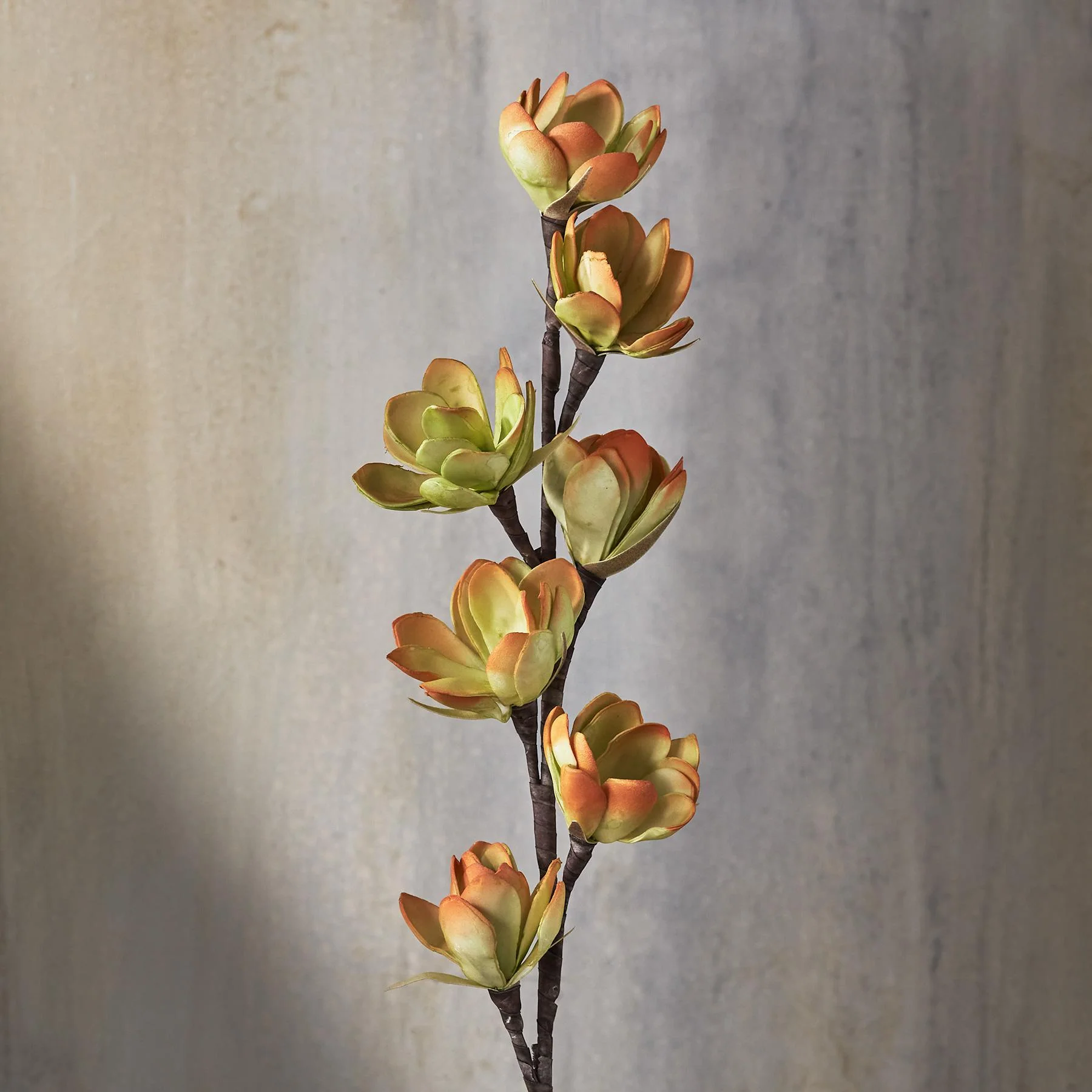 Bountiful Botanicals