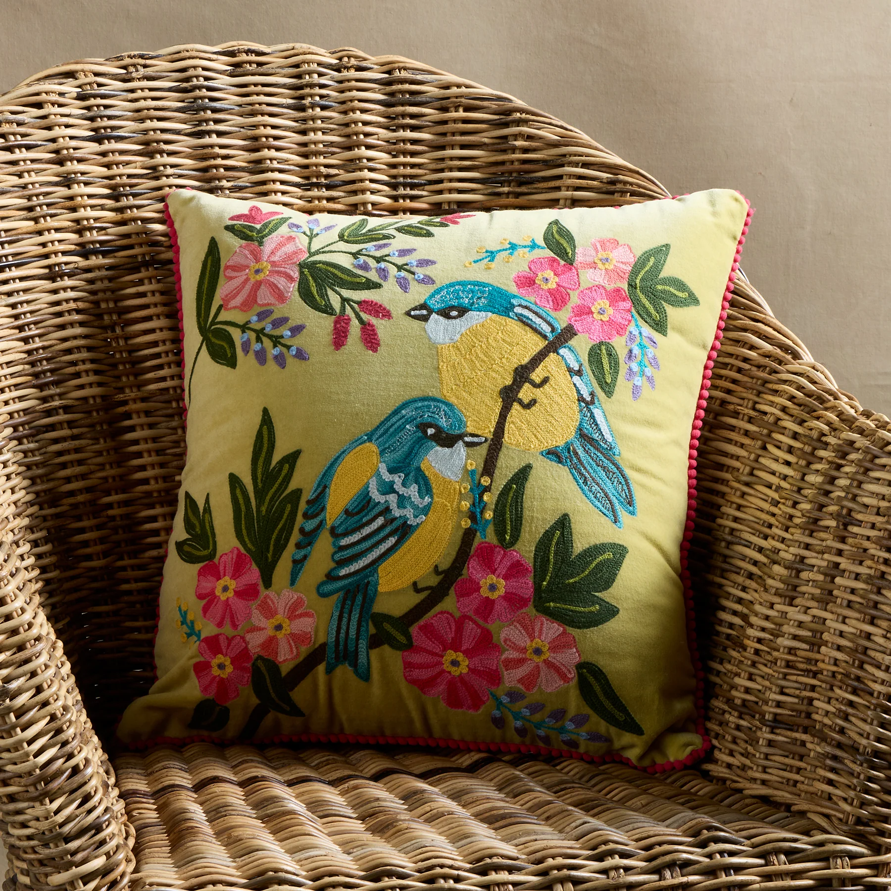 Warbler Velvet Throw Pillow