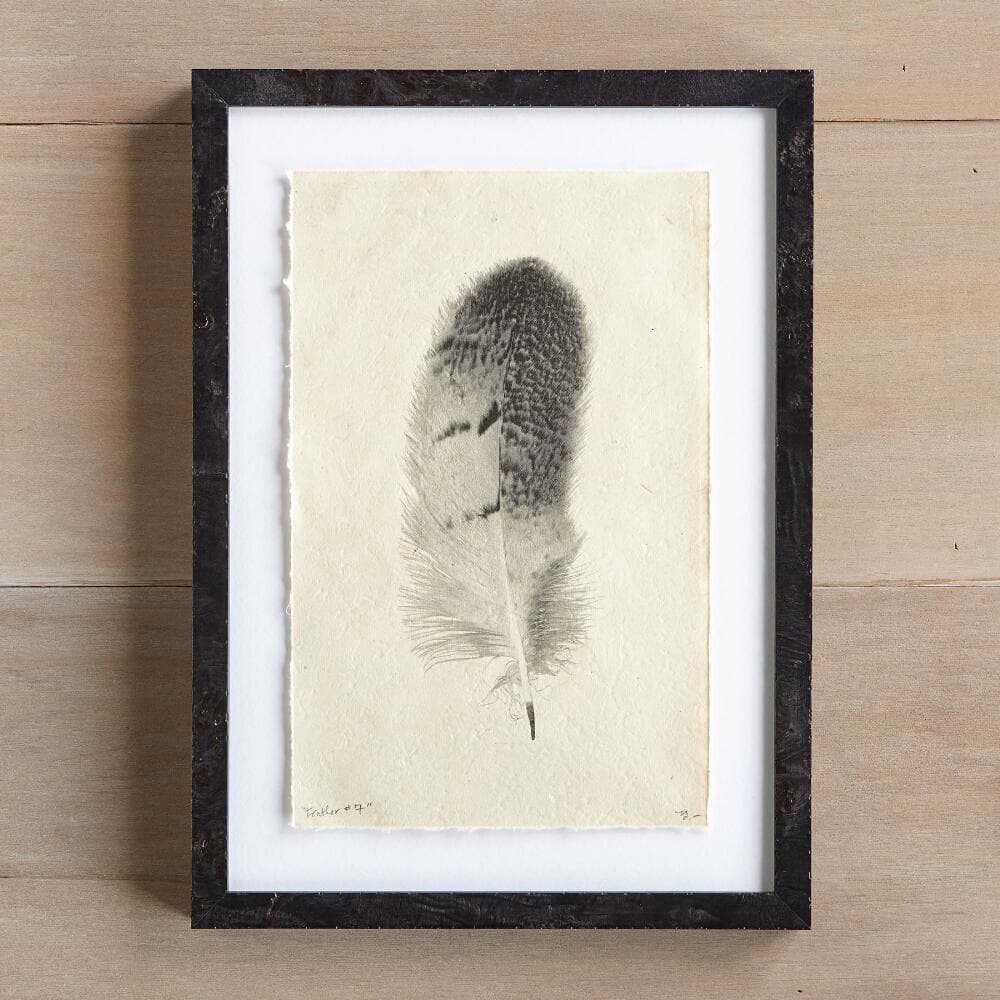 Feather Studies Print