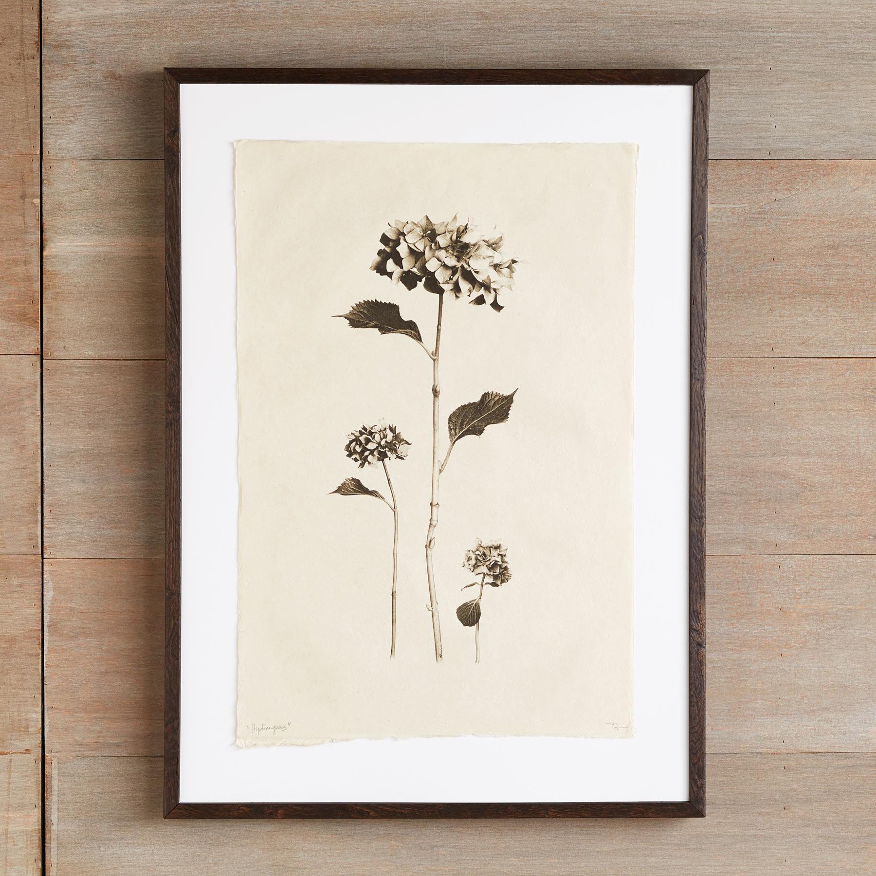 Flower Studies Print