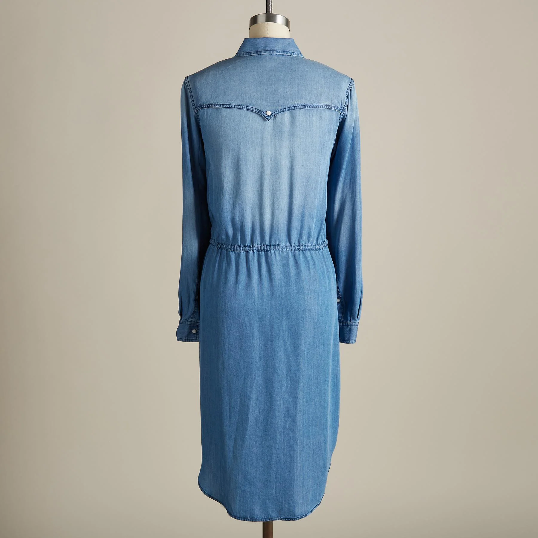Barrett Denim Dress