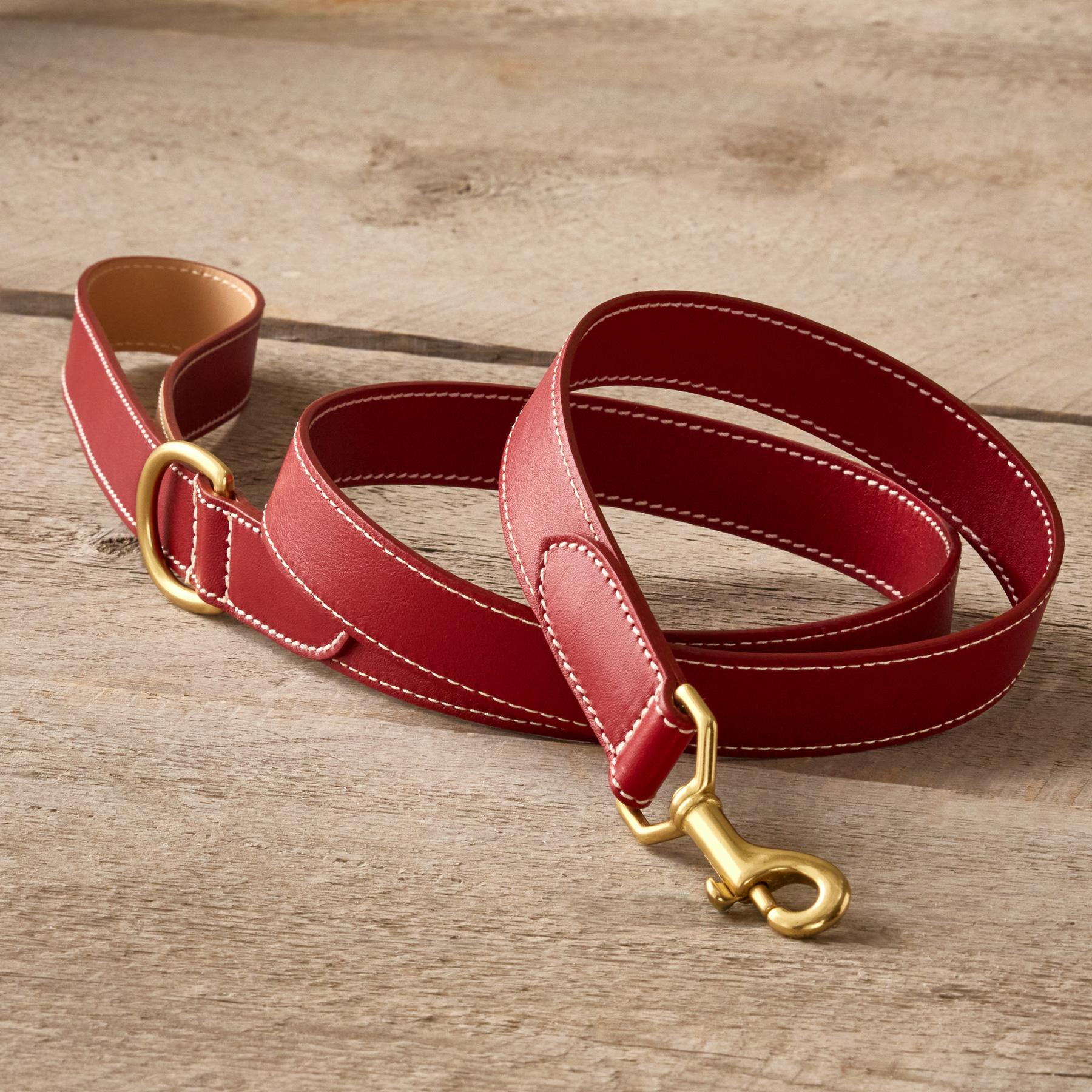 Shiloh 47in City Leash