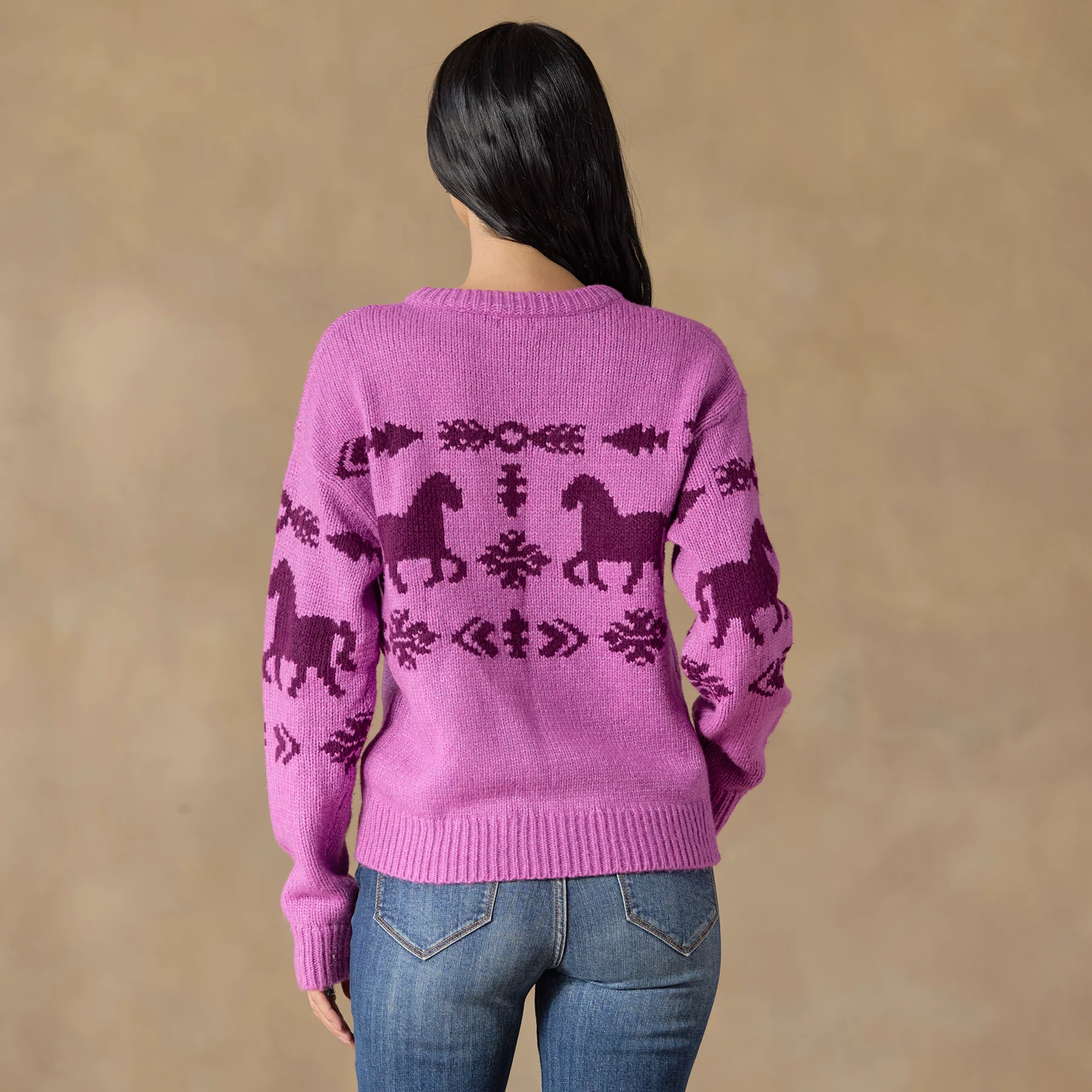 Spirited Horse Sweater