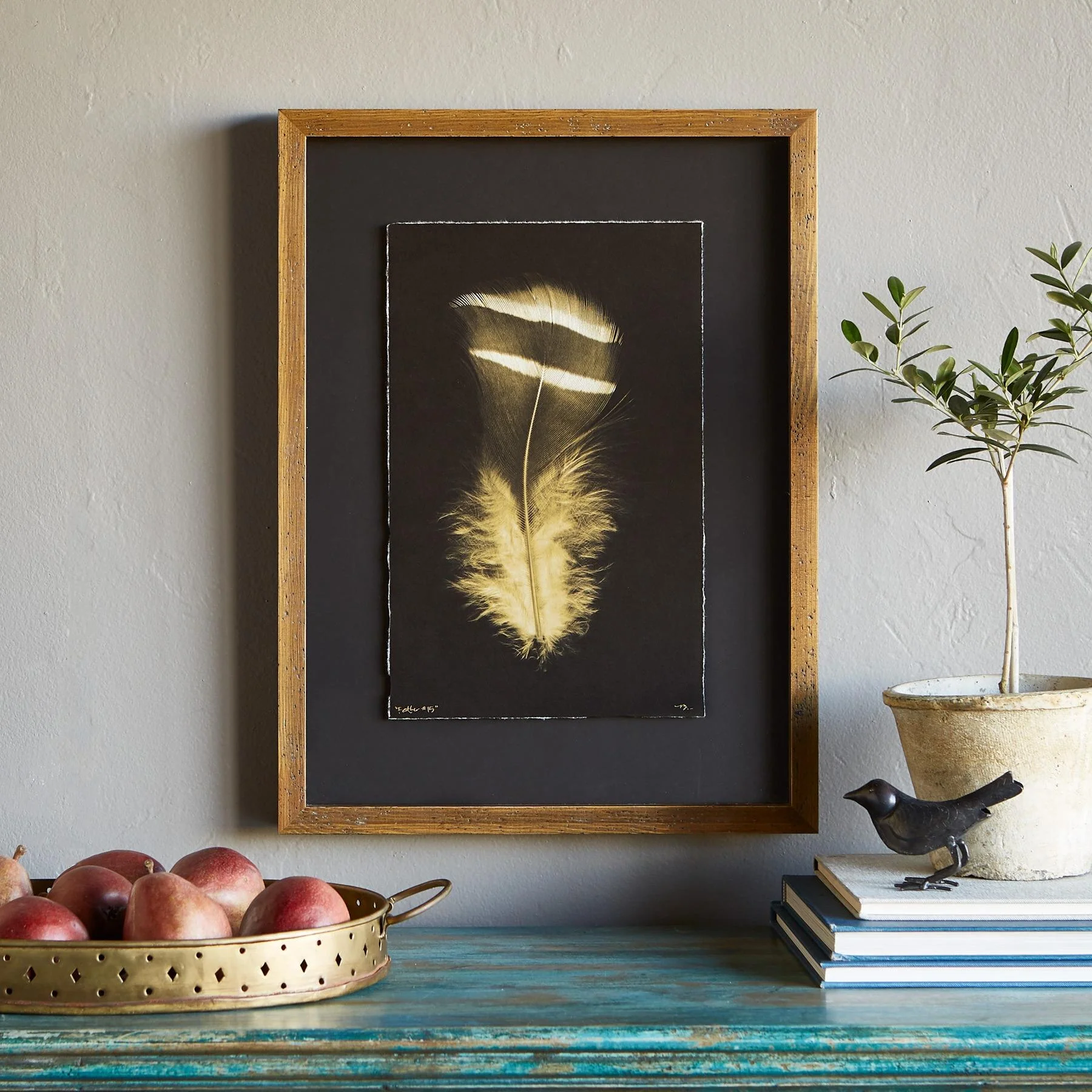 Feather Studies Negatives Prints