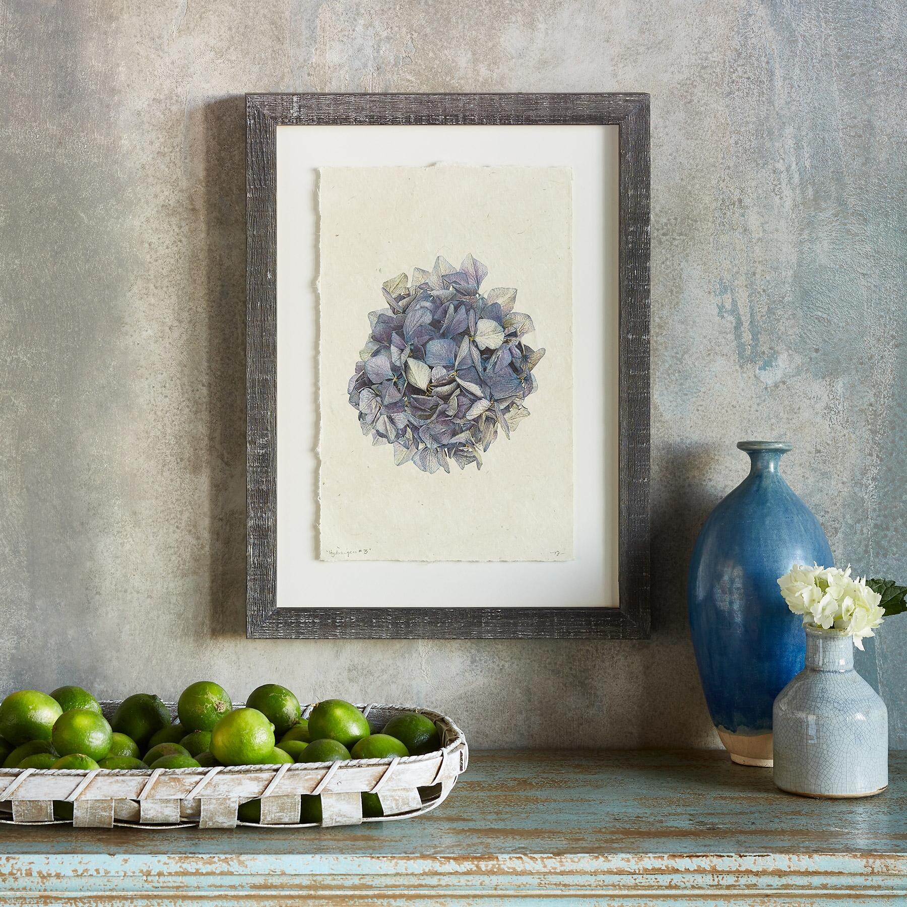Hydrangea Studies Prints