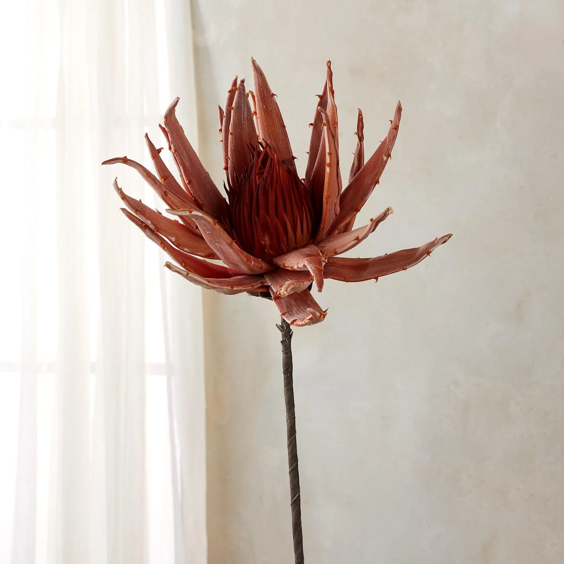 Bountiful Botanicals