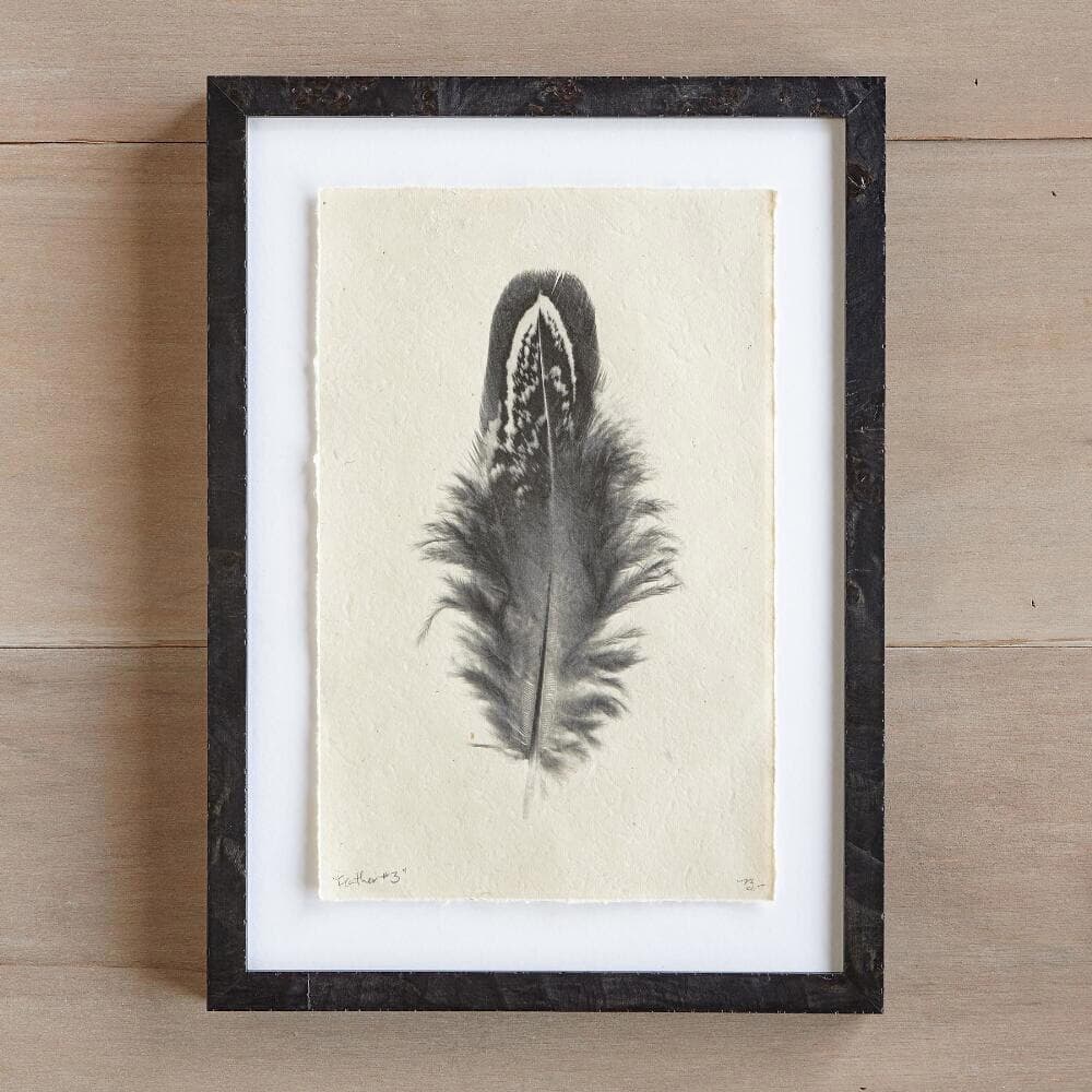 Feather Studies Print