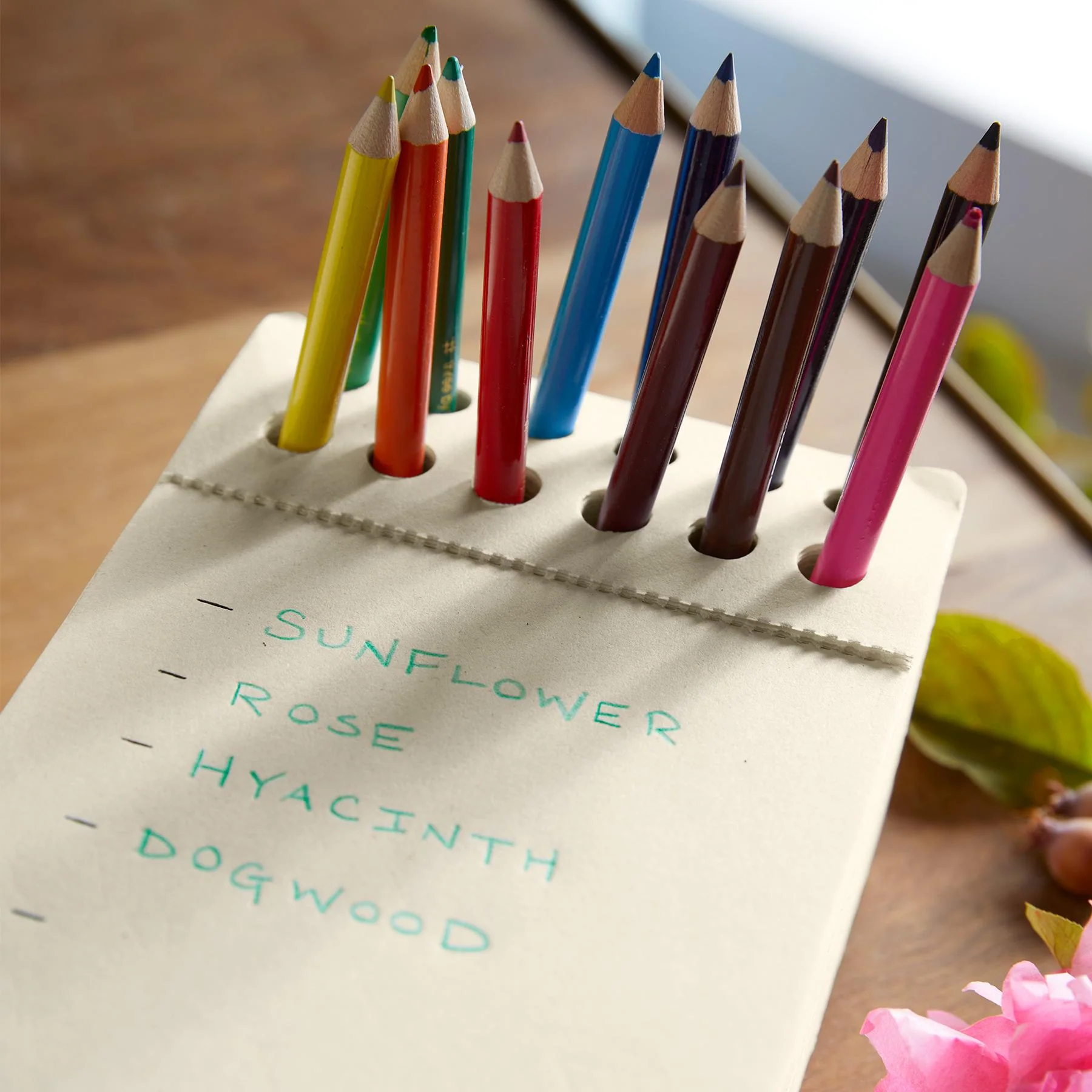 Artworks Sketchpad, Large