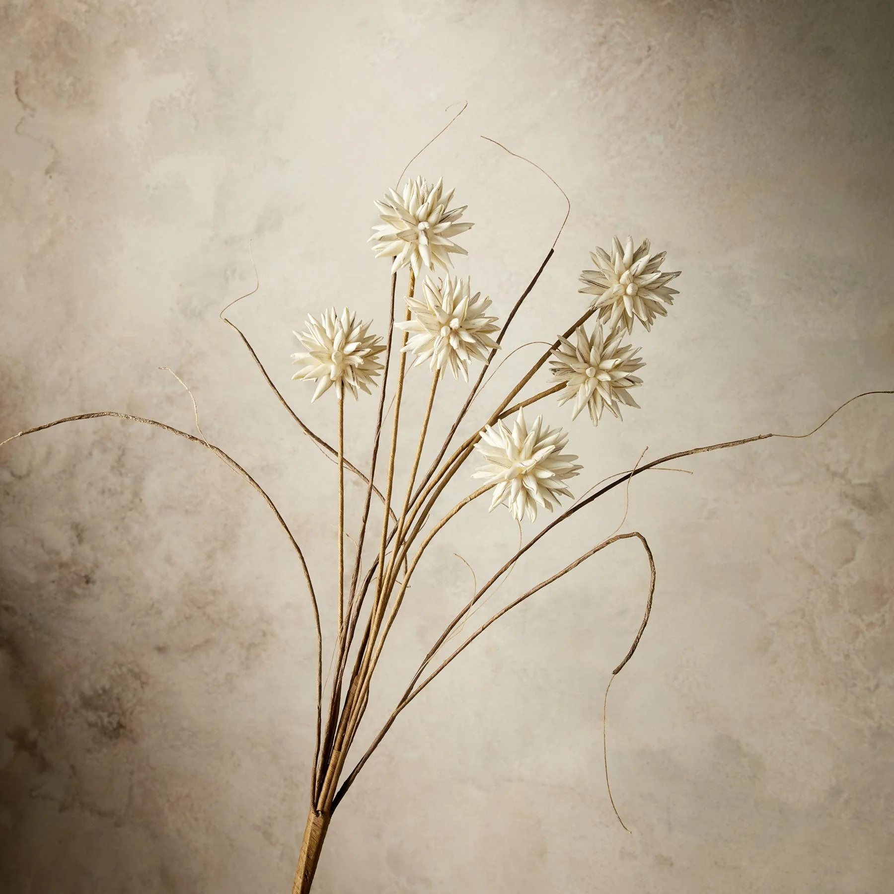 Bountiful Botanicals