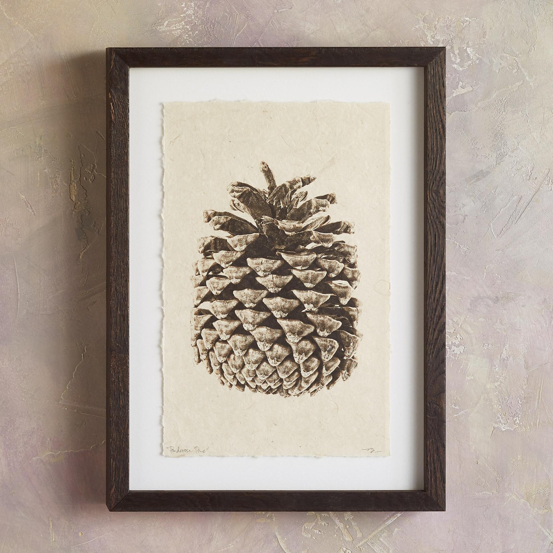 Pinecone Studies Print
