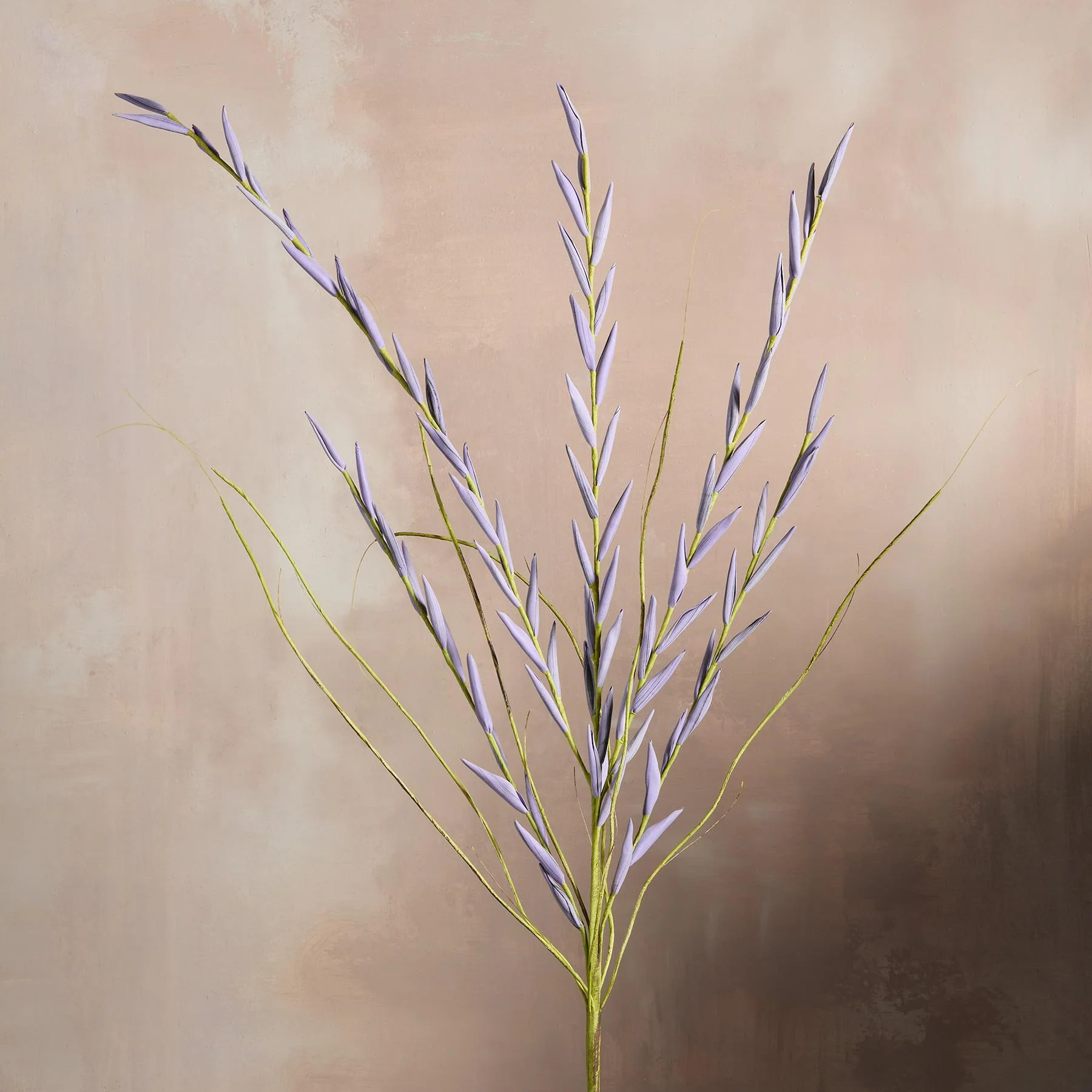 Bountiful Botanicals