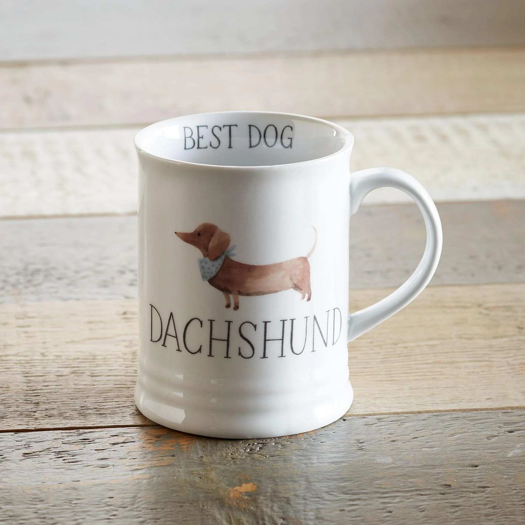 Best Dog Mug