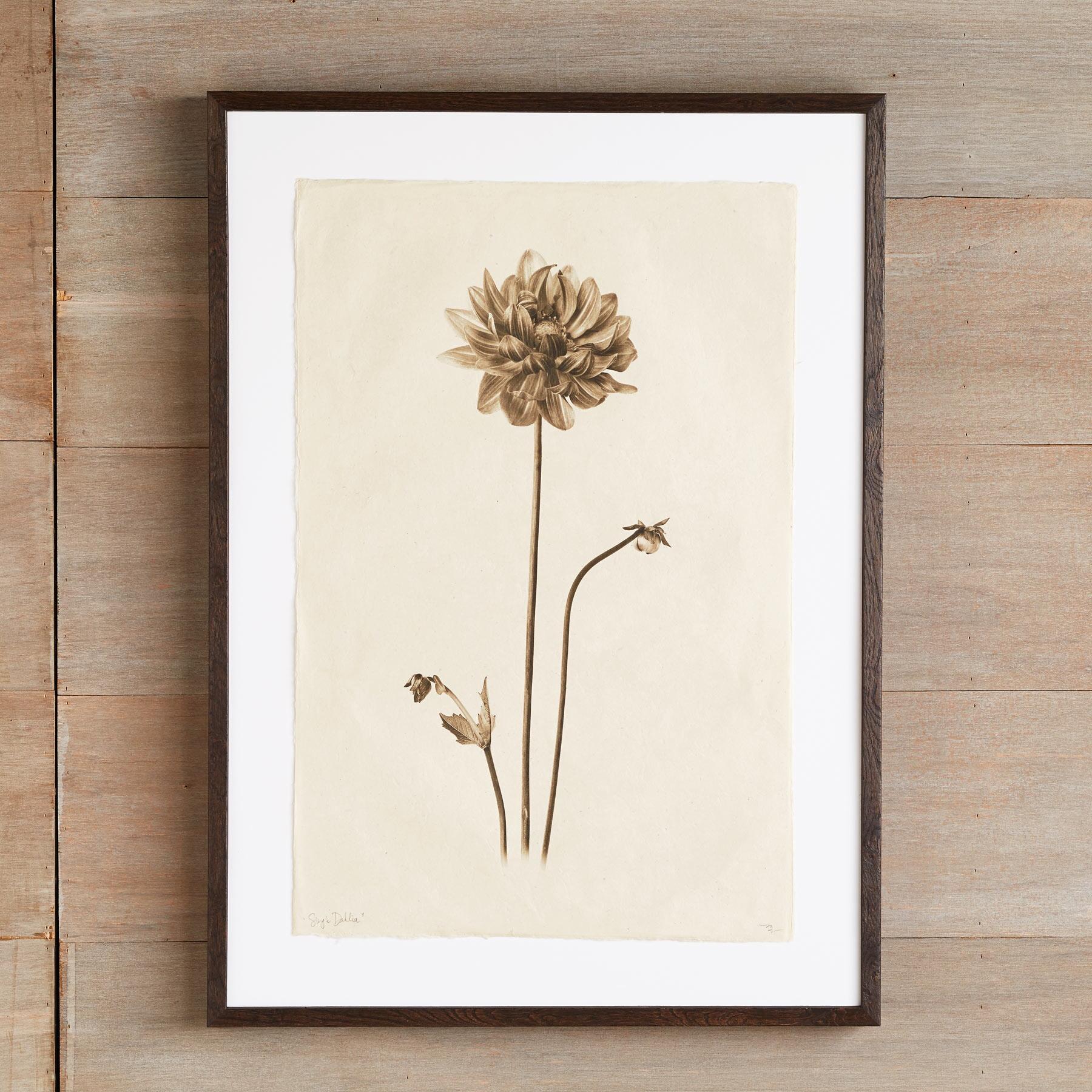 Flower Studies Print