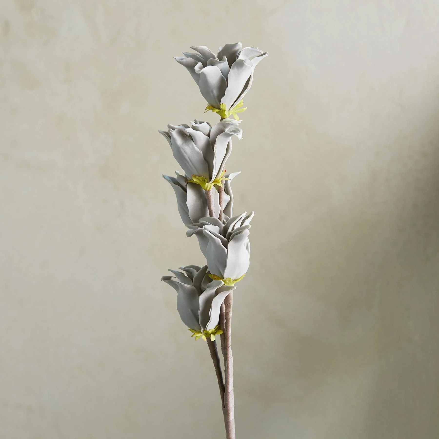 Bountiful Botanicals