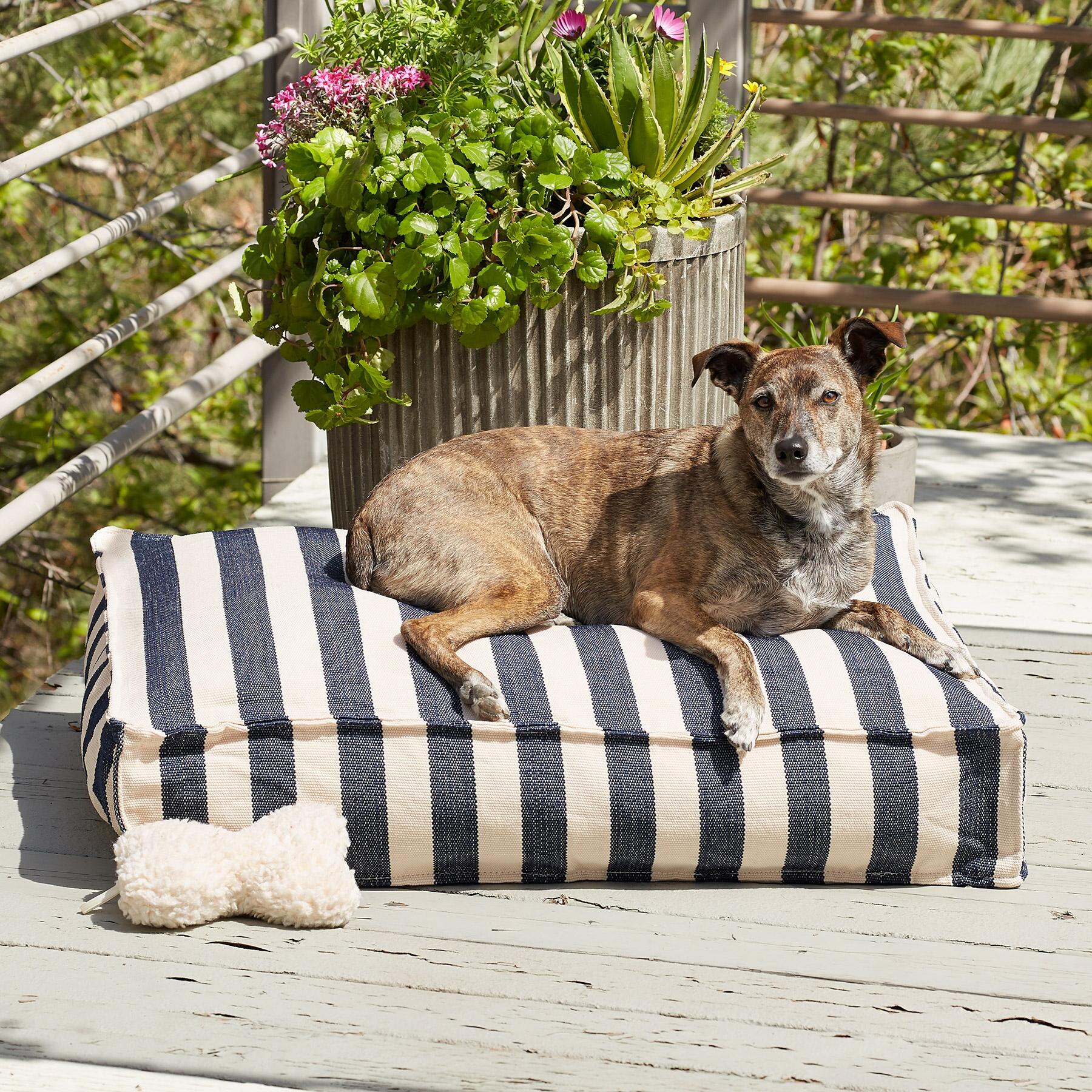 Navy Stripes Dog Days Wouf, Medium