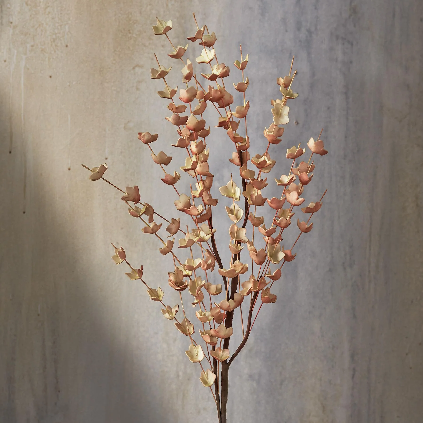 Bountiful Botanicals