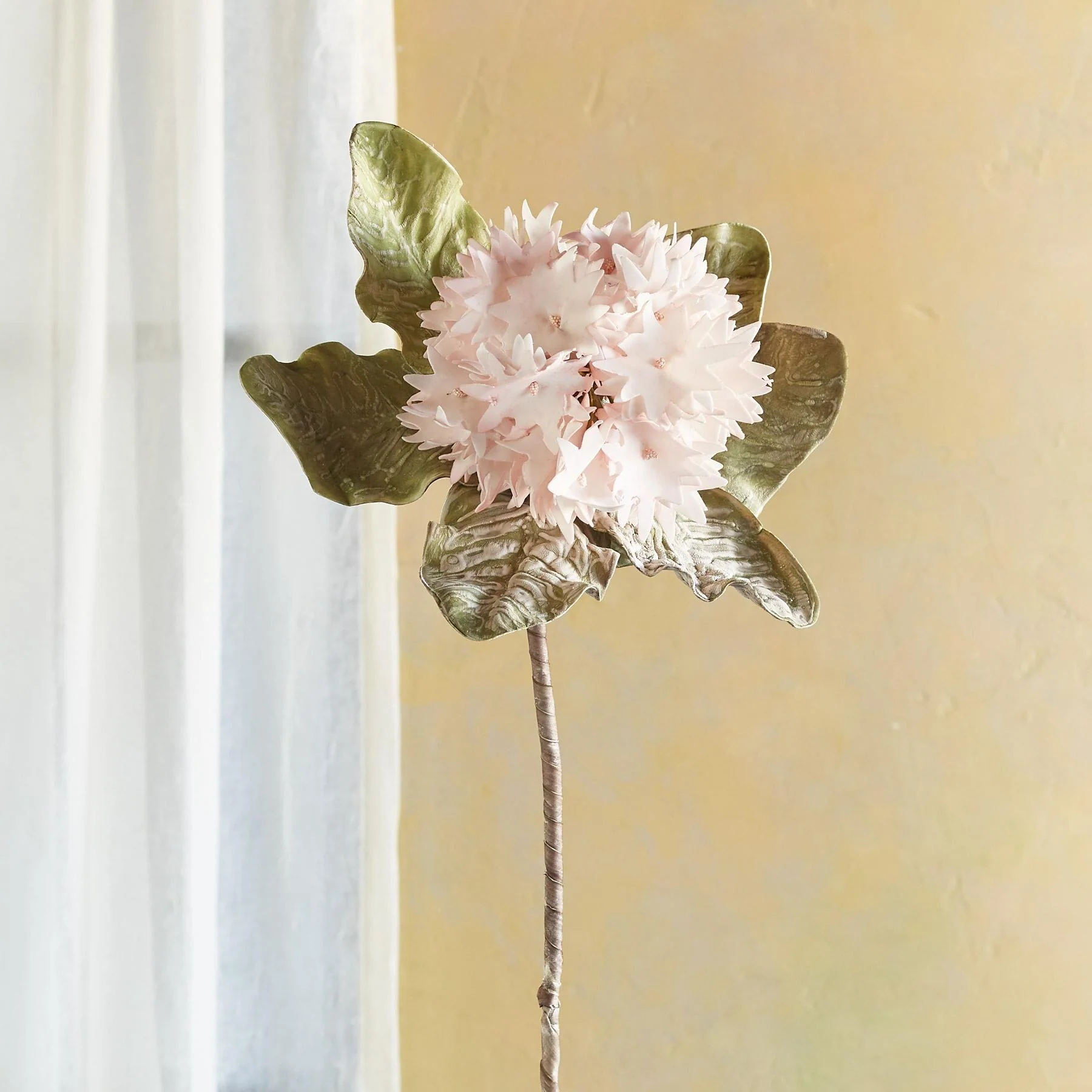 Bountiful Botanicals