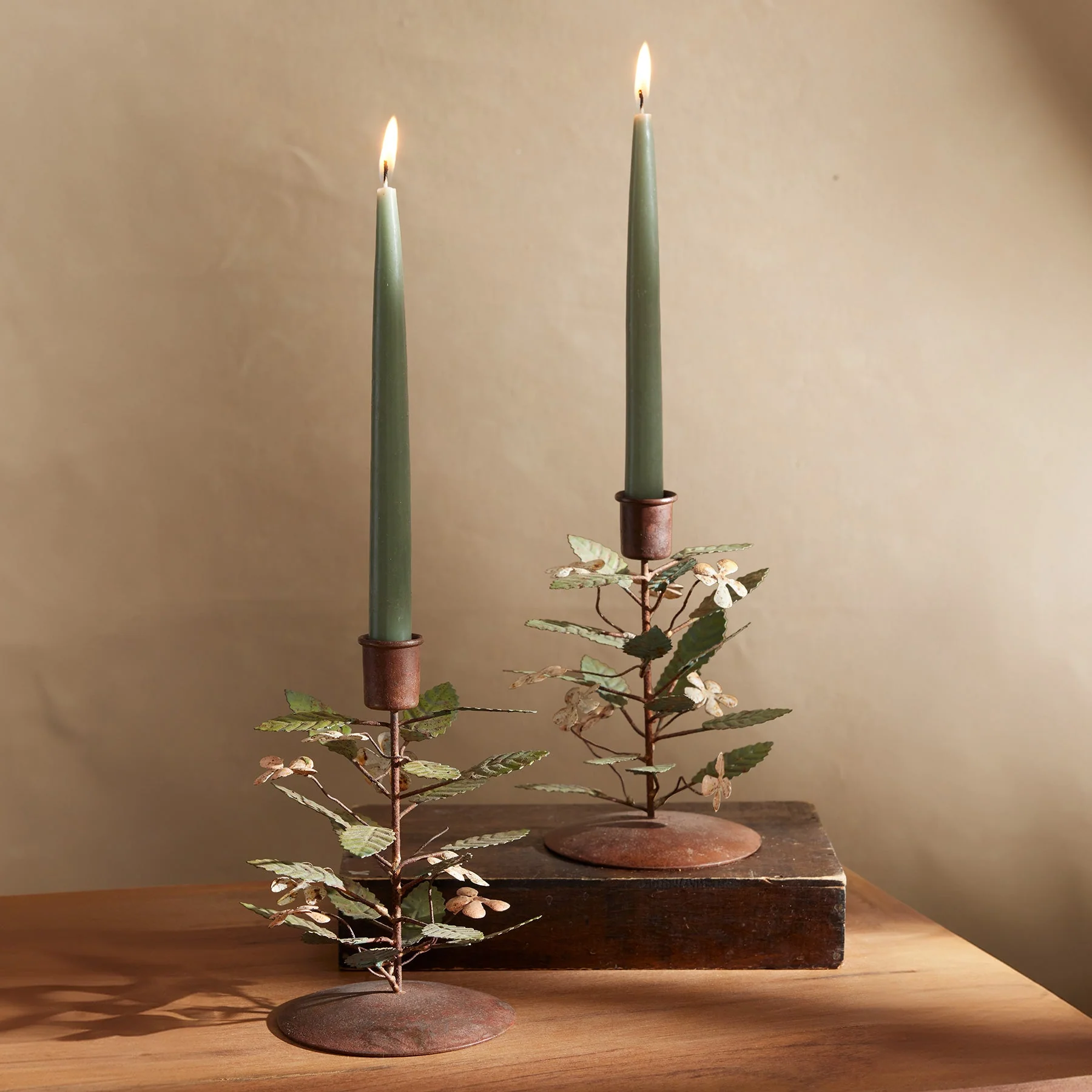 Bloom With Light Candleholder Set