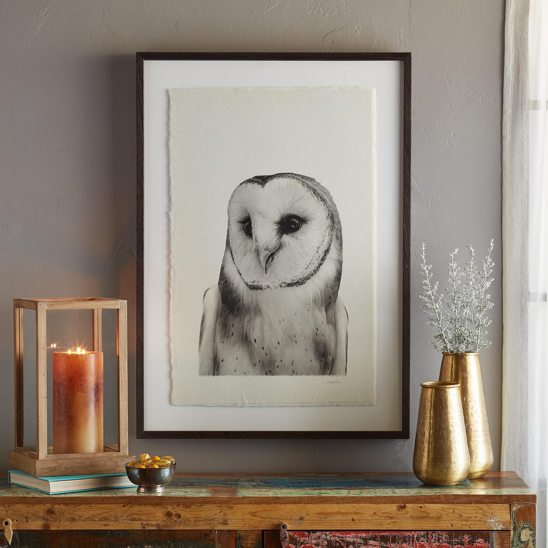 Owl Prints