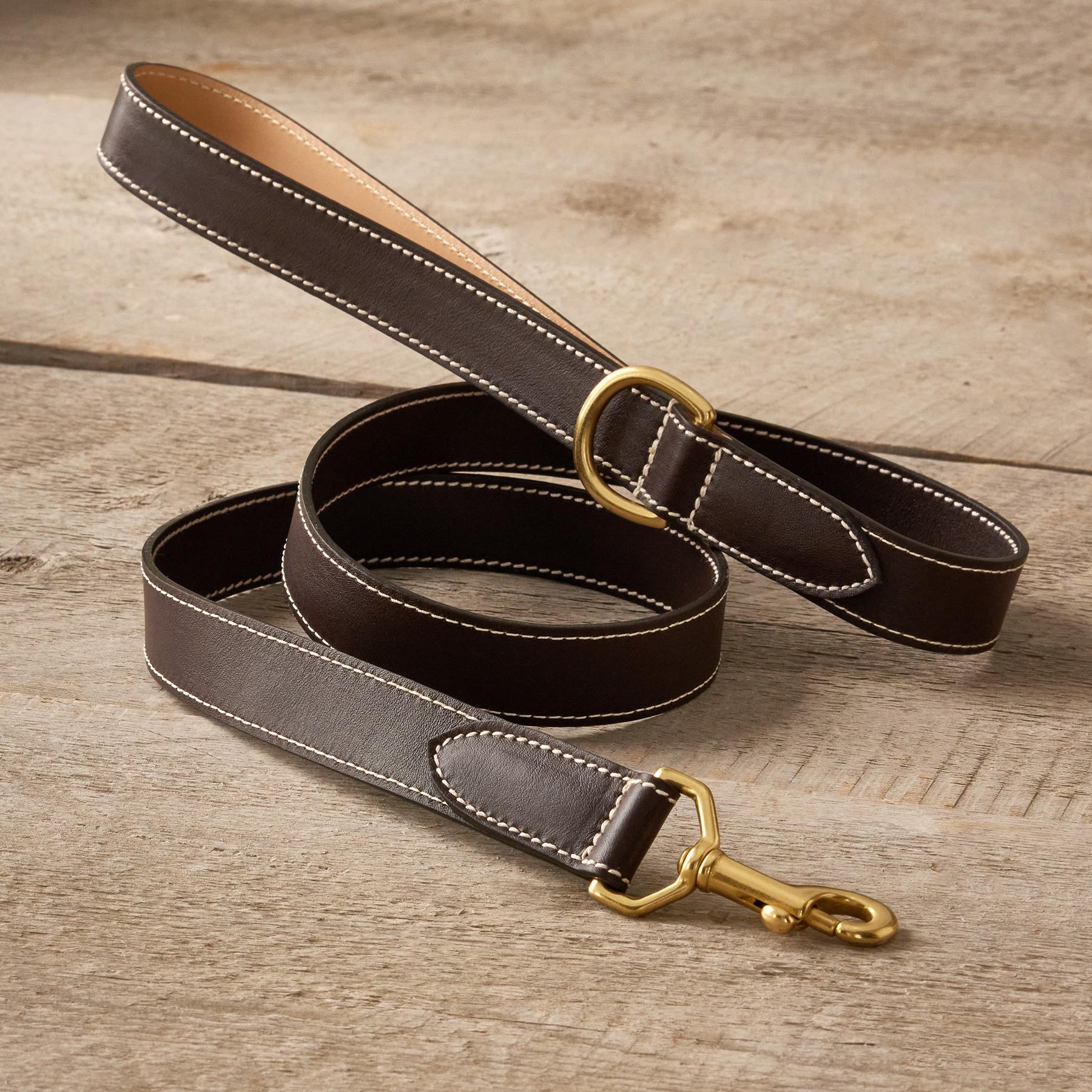 Shiloh 47in City Leash