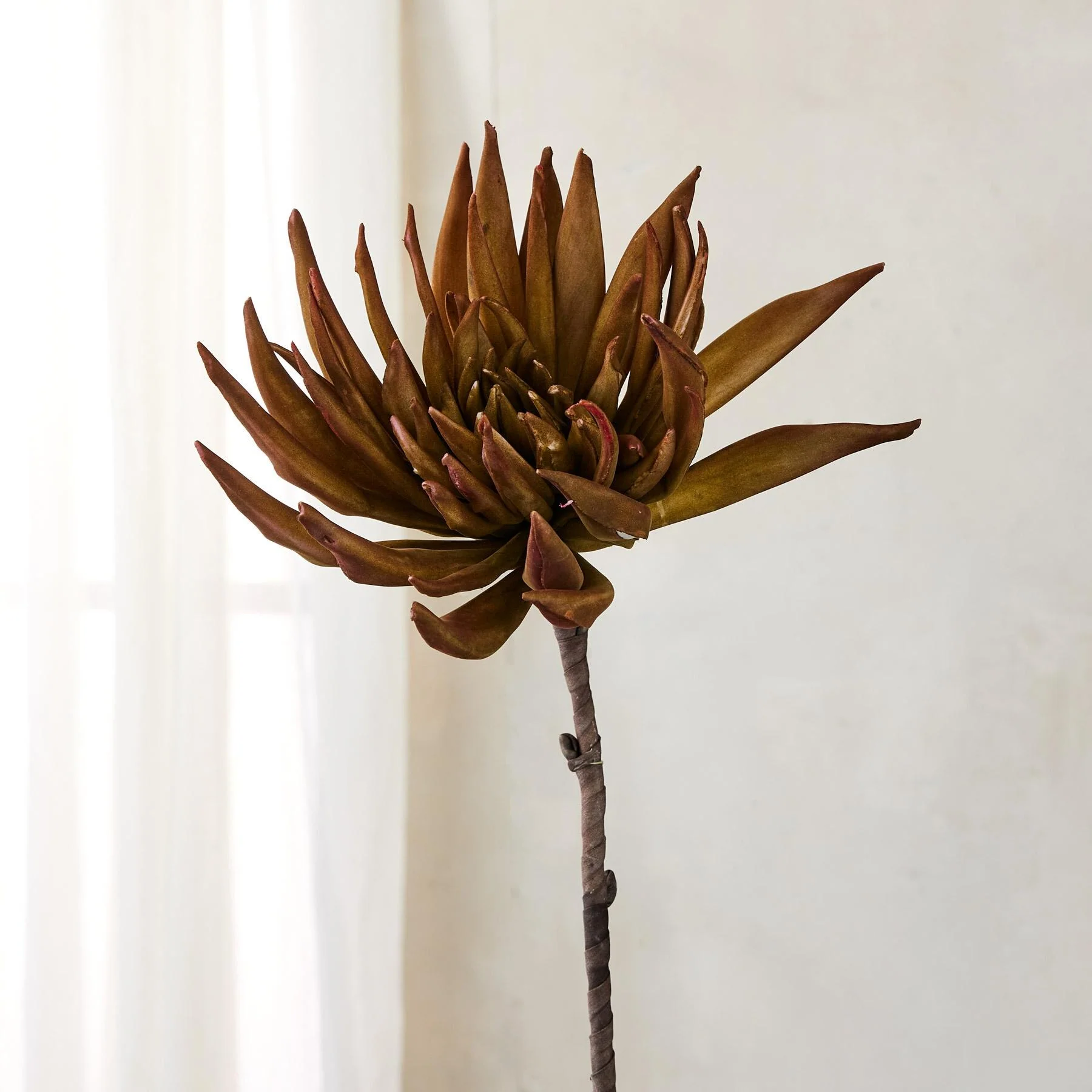 Bountiful Botanicals