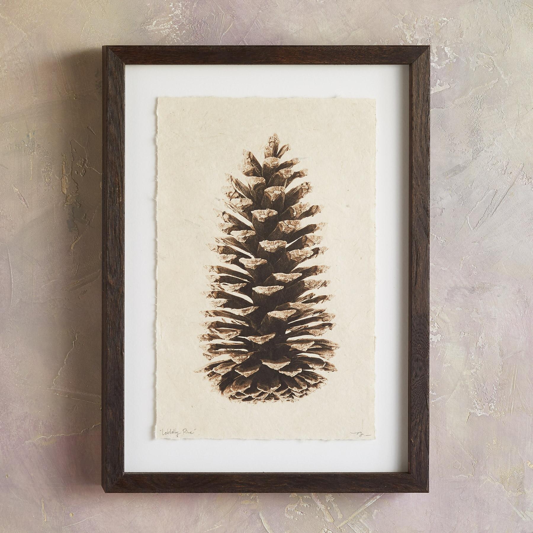 Pinecone Studies Print