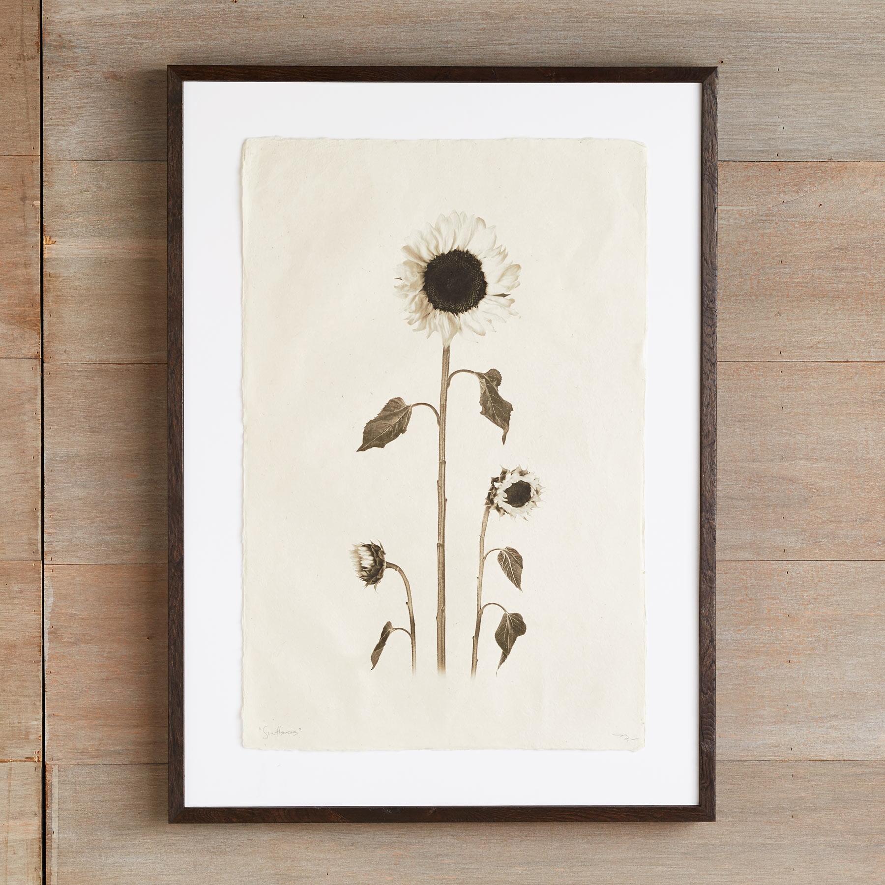 Flower Studies Print