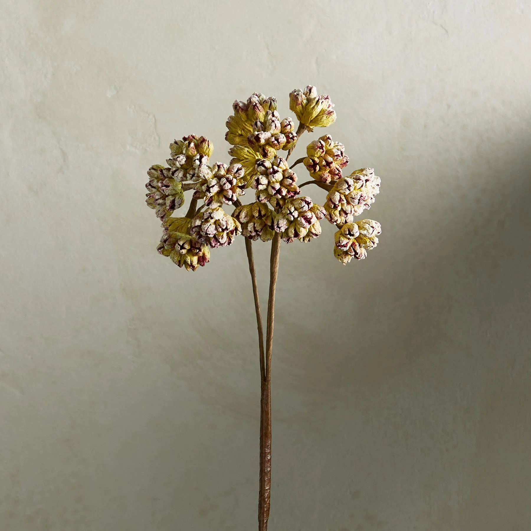 Bountiful Botanicals