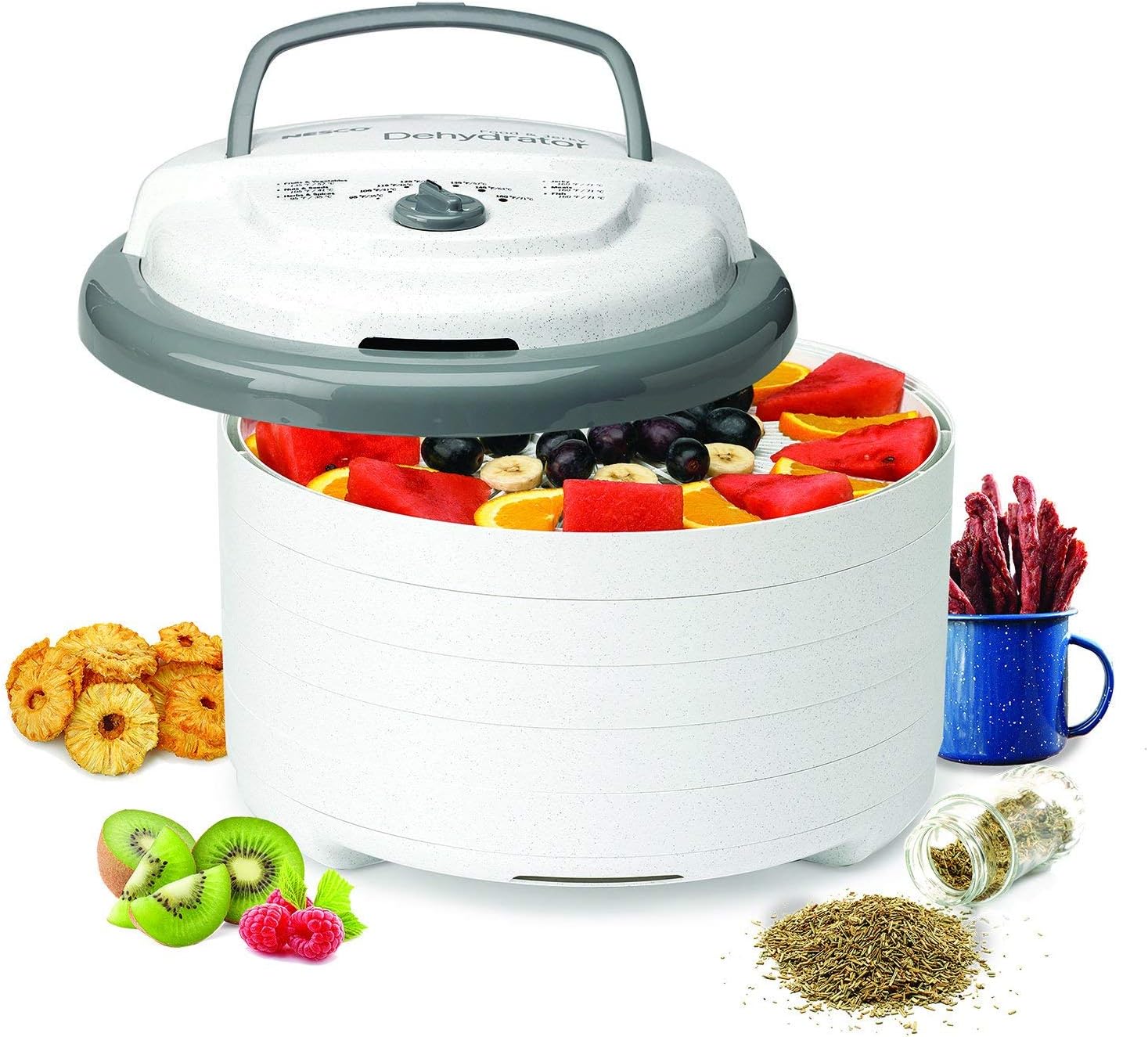 NESCO FD-75A Snackmaster Pro Food Dehydrator, For Snacks, Fruit, Beef Jerky, Gray