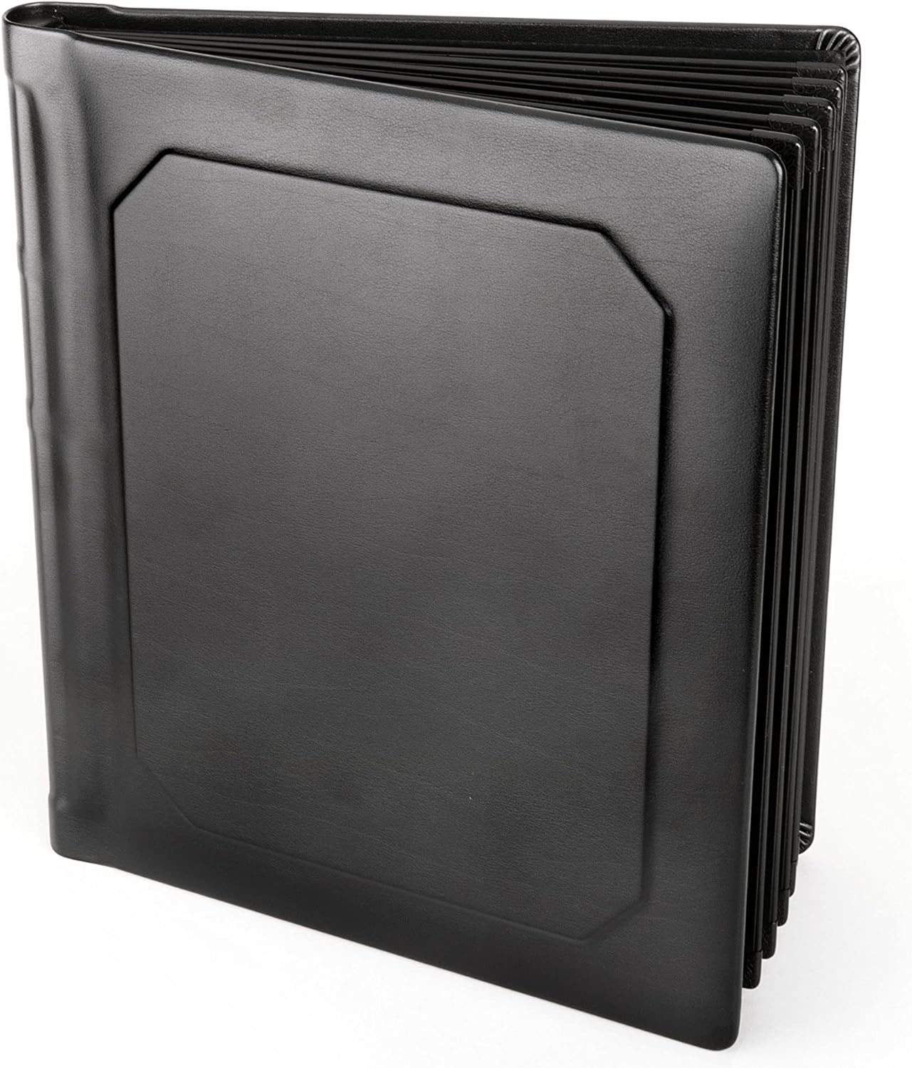 Professional Leatherette Bound Slip-in Photo Album, Holds 30 8x10 Photos (15 Page), Black