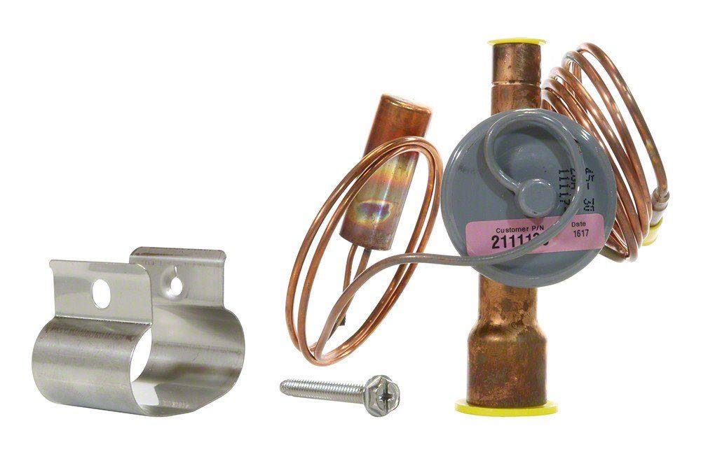 Raypak H000173 8 Ton TX Valve Heat & Heat Cool