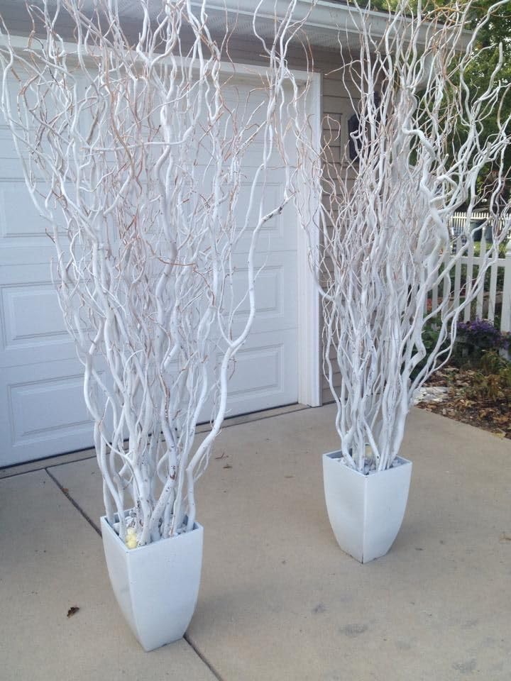 10 White Painted Natural Curly Willow Branch Tips - Great for Decoration, Vase Filler, Wedding or Event Decor - No Vase Included, Just Painted Branches (4 Feet Tall - 10 Branches)
