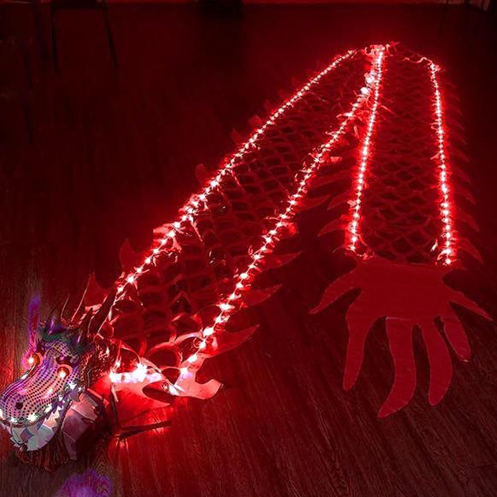 Light Up Dragon Poi, Outdoor Dance Dragon Ribbon Streamer with LED, 3D Dragon Head Combo, Swing Rope and Carry Bag Flinging Fitness Stage Performance Prop Set