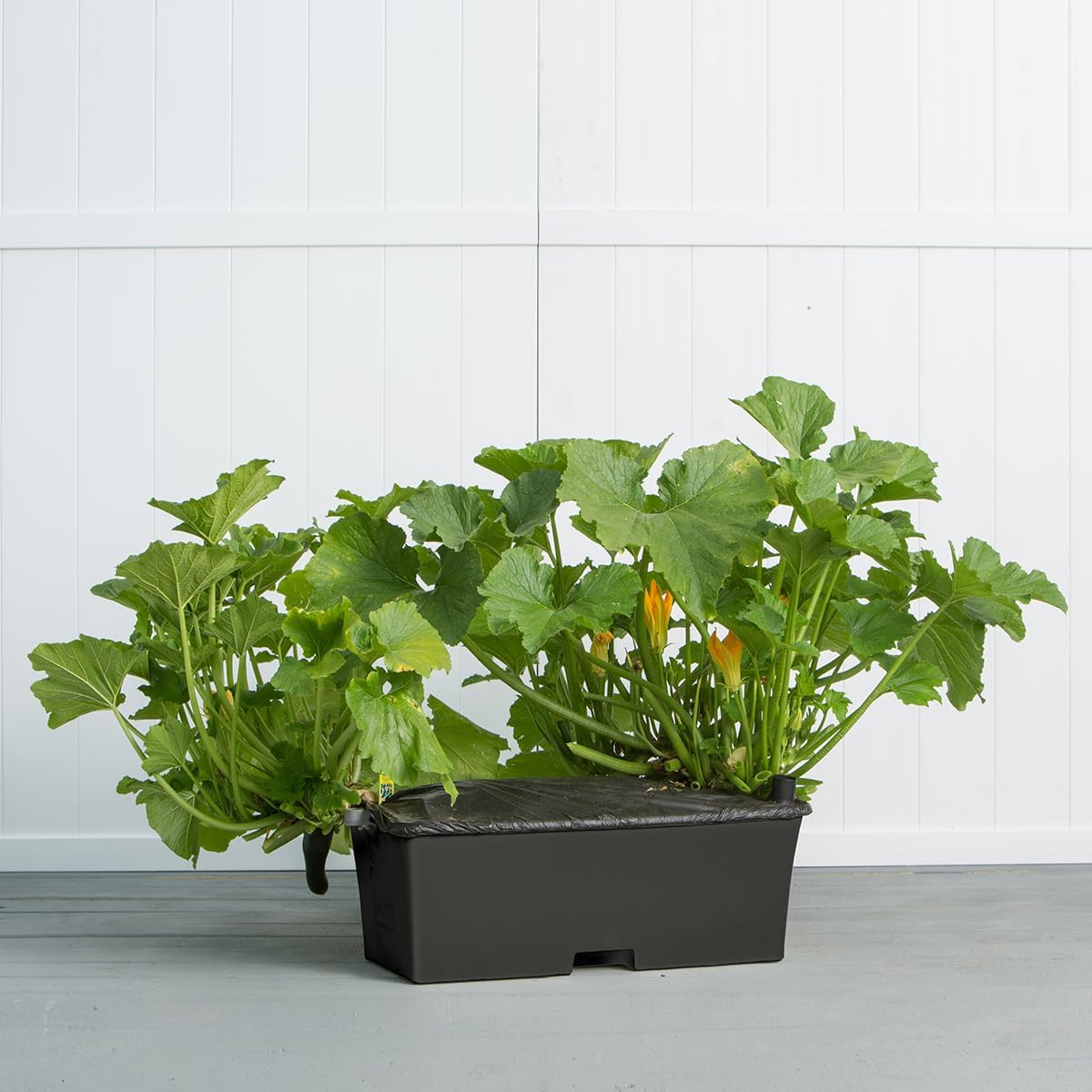 EarthBox® Container Gardening System - Green