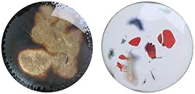 WireJewelry 2840 Mandarin Orange Thompson Transparent Enamel - 8 Ounce