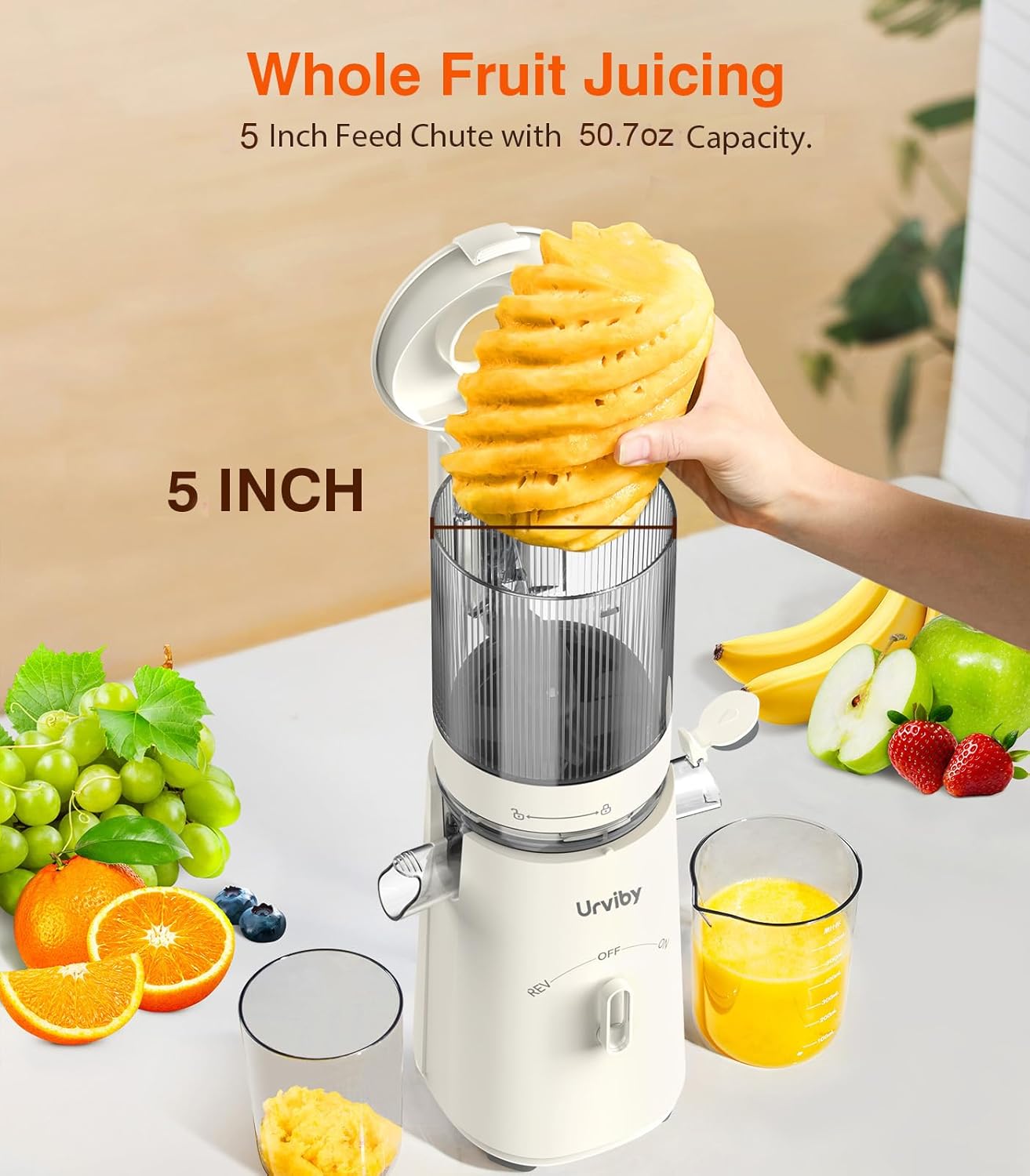 Cold Press Juicer, 2-in-1 Juicer Machines for Juice & Sorbet, with 5-Inch Wide Chute, High-Yield juice extractor for Fruits & Vegetables/High Nutrients/Reverse Mode/Easy to Clean