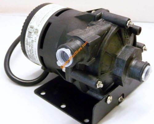6000-125, Laing Circulation Pump for Jacuzzi and Sundance Circulation Pump, 220 - 240 Volt.