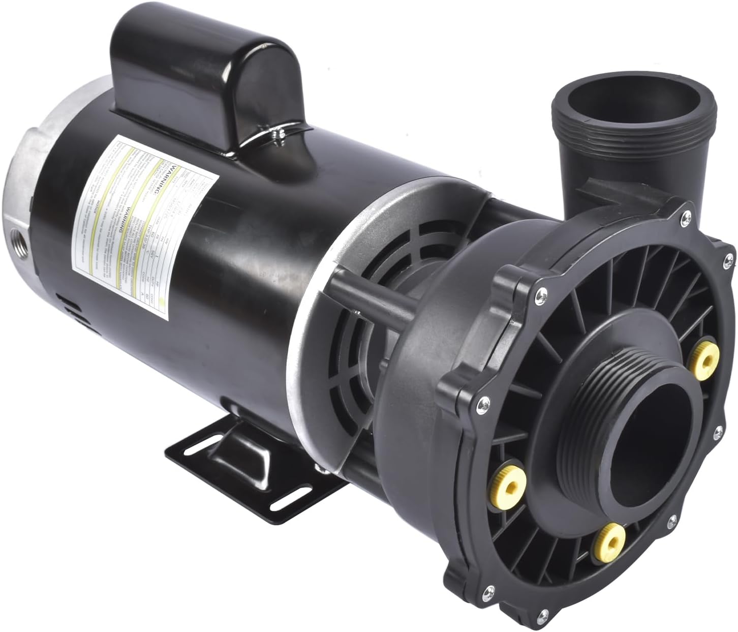 Plastics Executive 56 Frame 4 HP Spa Pump 230-Volt Hot Tubs Black Two-Speed 9600 GPH Maximum Flow Rate 3721621-1D 37216211D