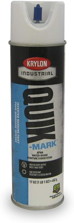 Krylon Inverted Marking Paint White 12/BX #S03901