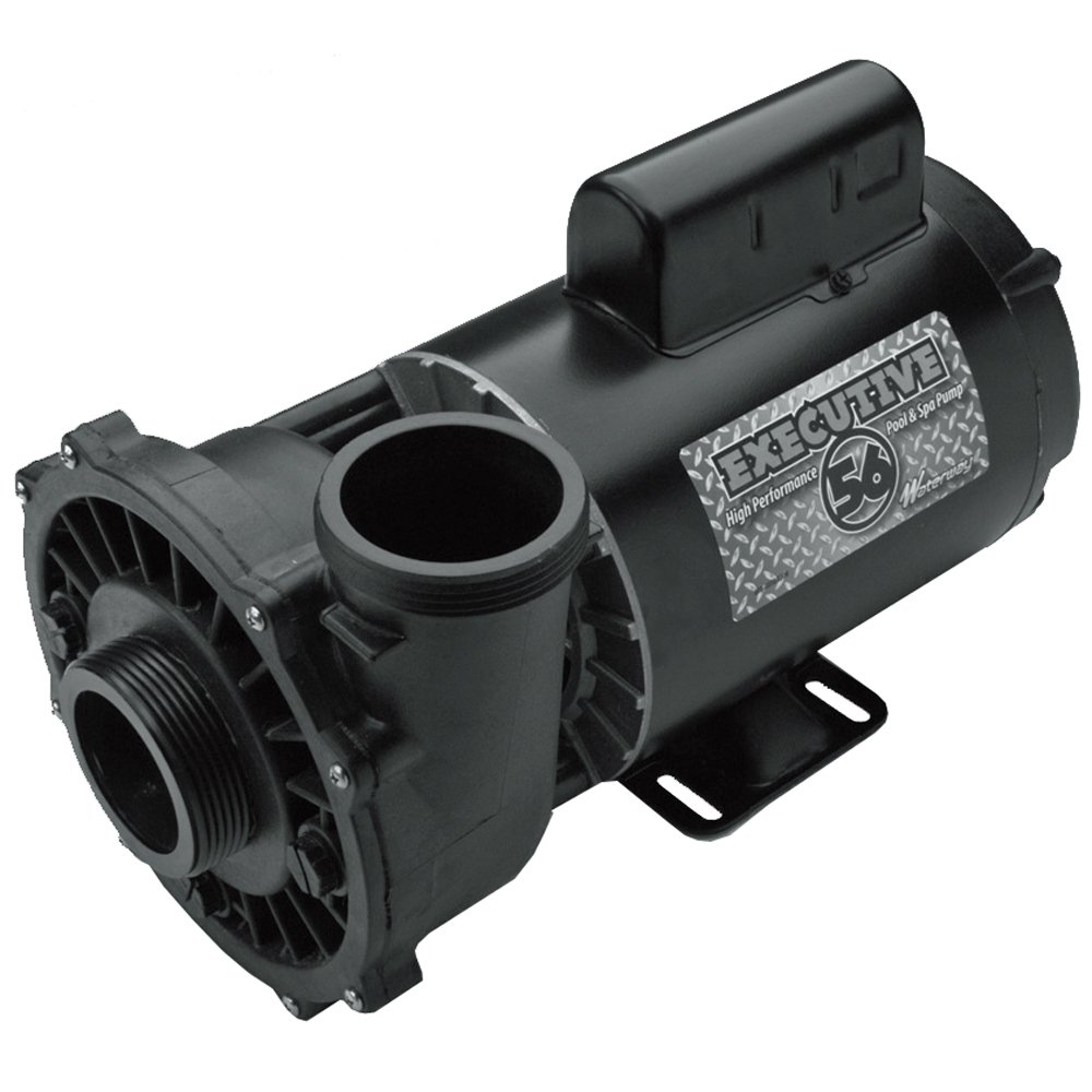 Waterway Plastics 3721221-1D Executive 56 Frame 3 HP Spa Pump, 230 V for Hot Tub Black