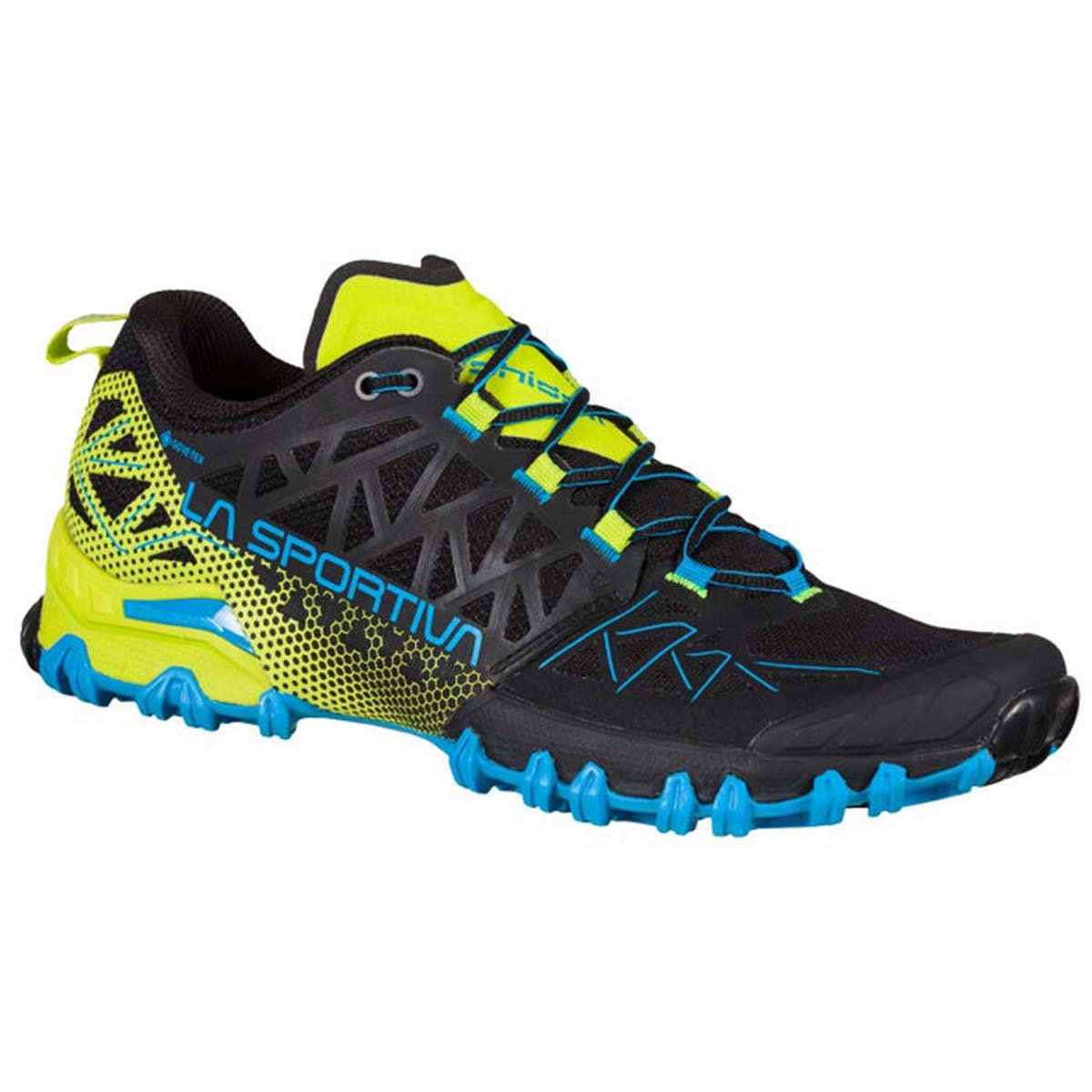 Bushido II GTX Mens Trail Running Shoes Black