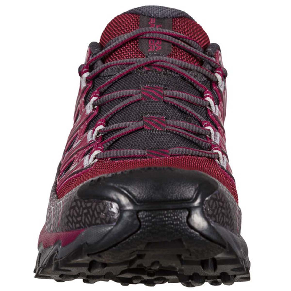 Ultra Raptor II Wide GTX Womens Hiking Shoes Purple