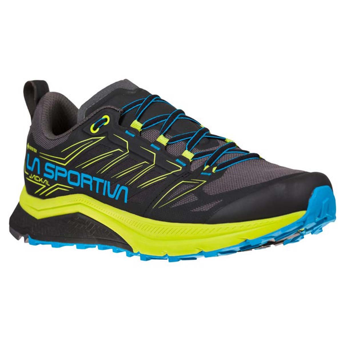 Jackal GTX Mens Trail Running Shoes Black