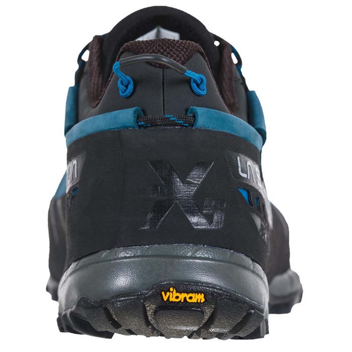 TX5 Low GTX Mens Hiking Shoes Blue