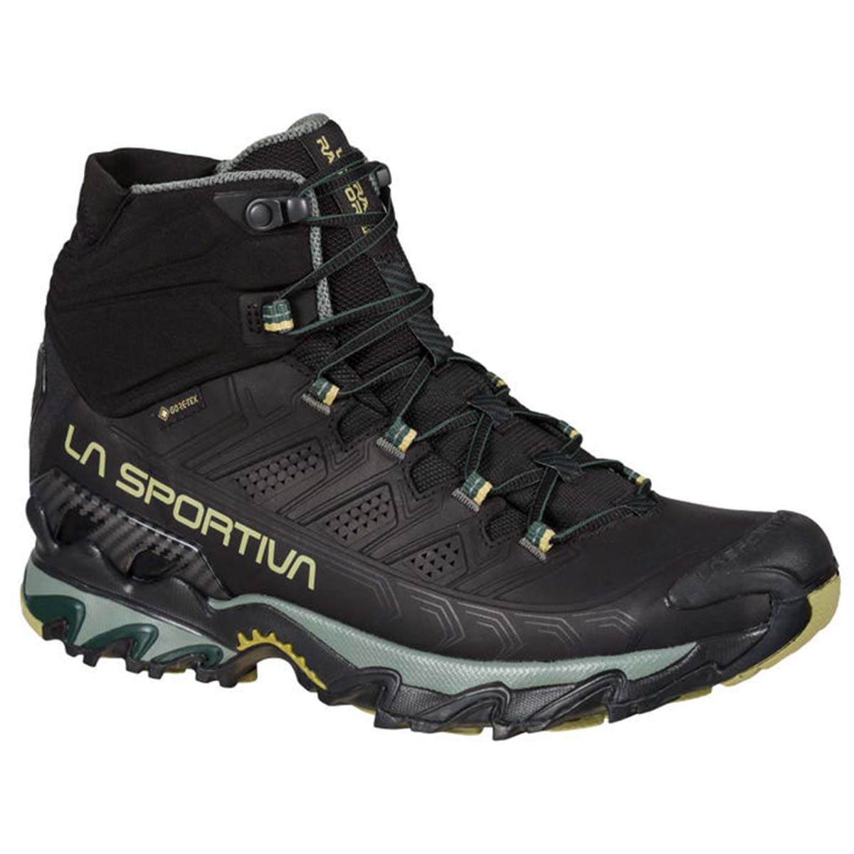 Ultra Raptor II Mid Leather GTX Mens Hiking Shoes Black