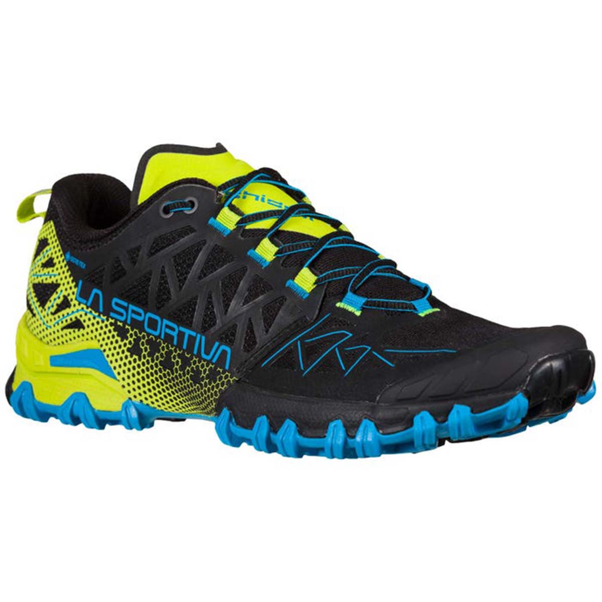 Bushido II GTX Mens Trail Running Shoes Black