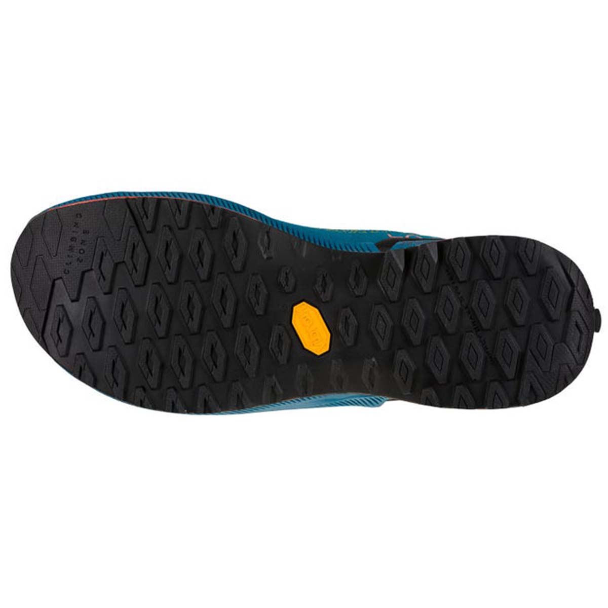 TX2 Evo Mens Approach Shoes Blue