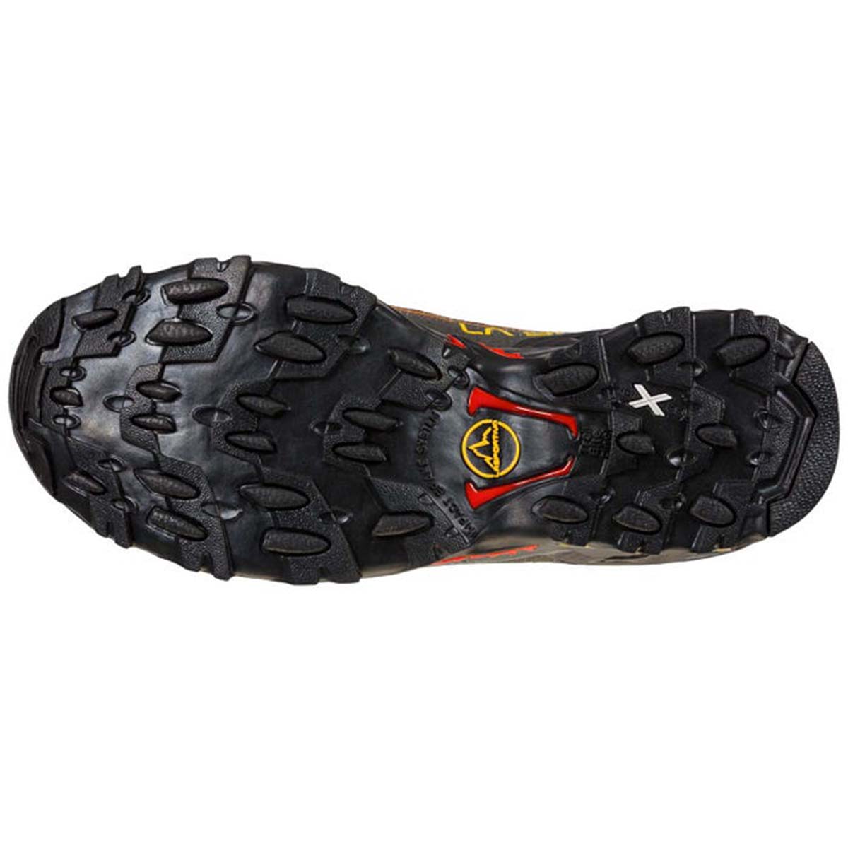 Ultra Raptor II Mid GTX Mens Hiking Shoes Black